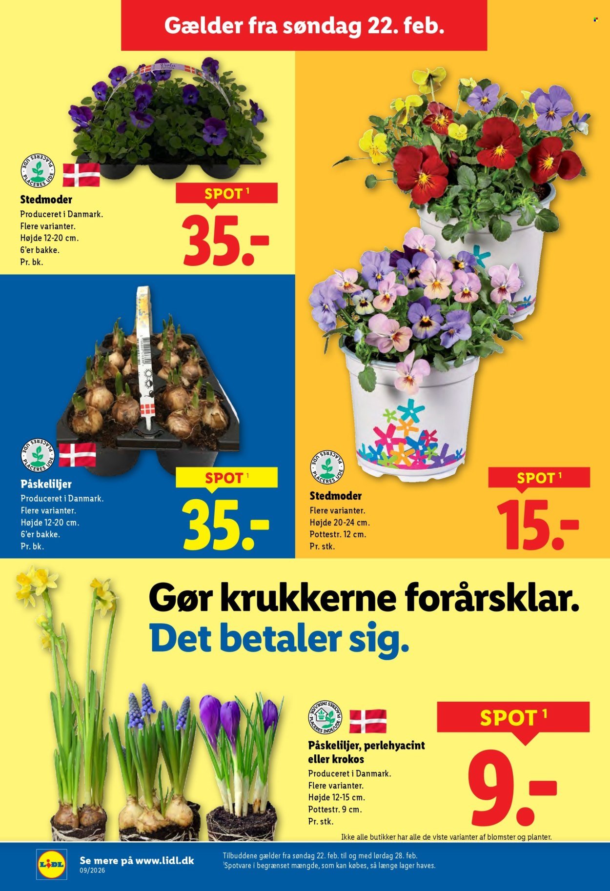 LIDL tilbudsavis - Fra søndag den 22. februar 2026