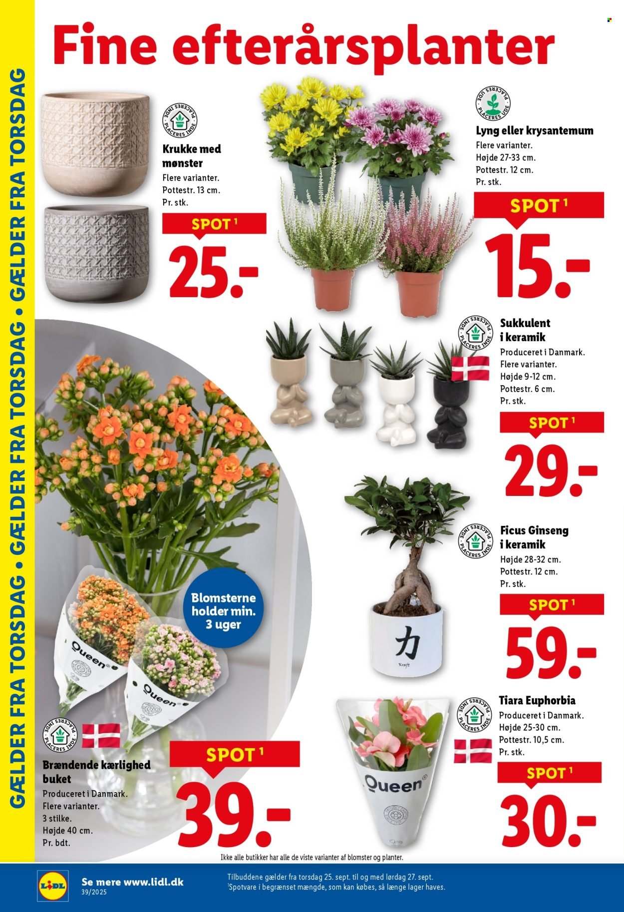 LIDL tilbudsavis - Fra søndag den 21. september 2025 (2025-09-21 - 2025-09-27)