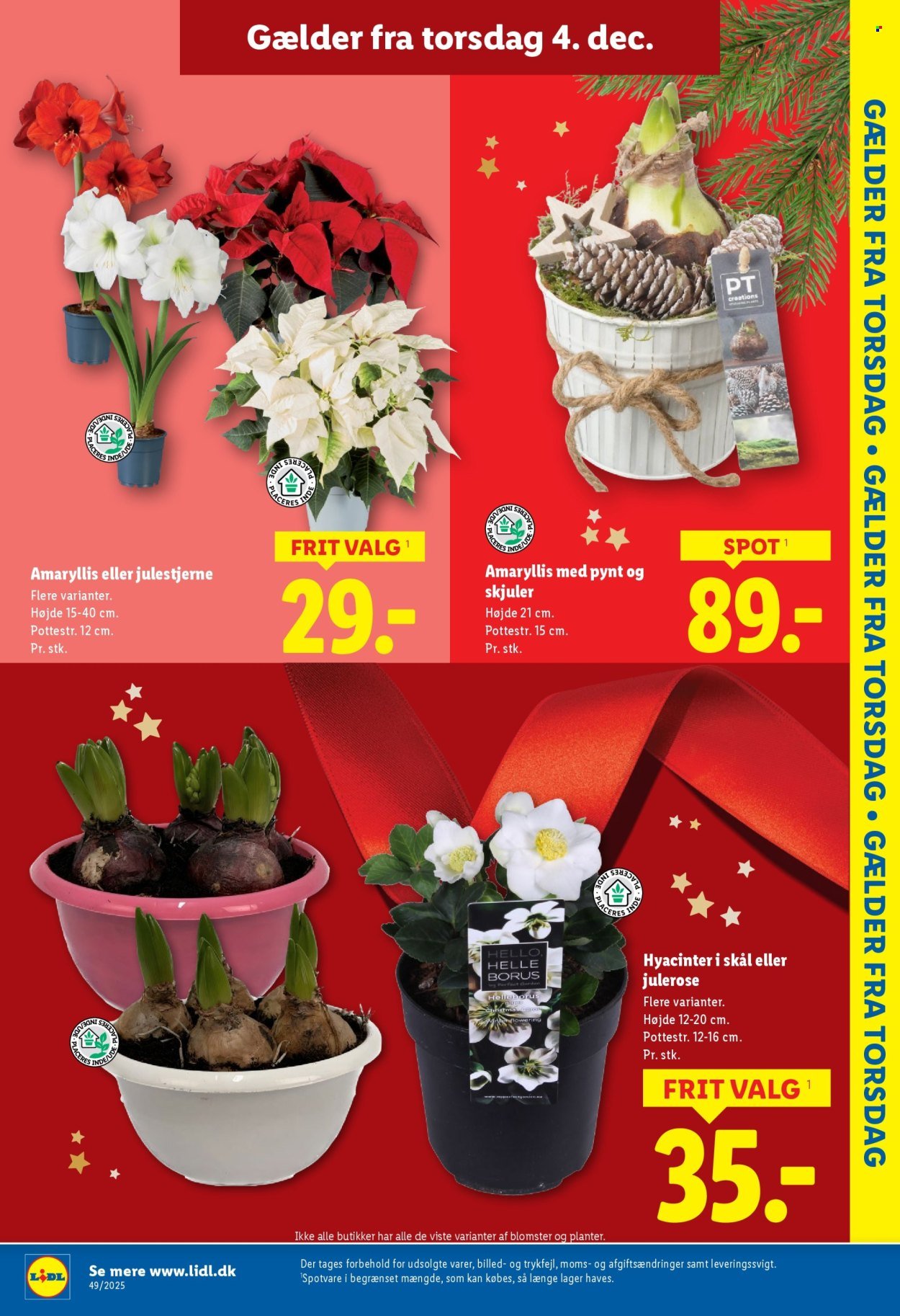 LIDL tilbudsavis - Fra søndag den 30. november 2025 (2025-11-30 - 2025-12-06)