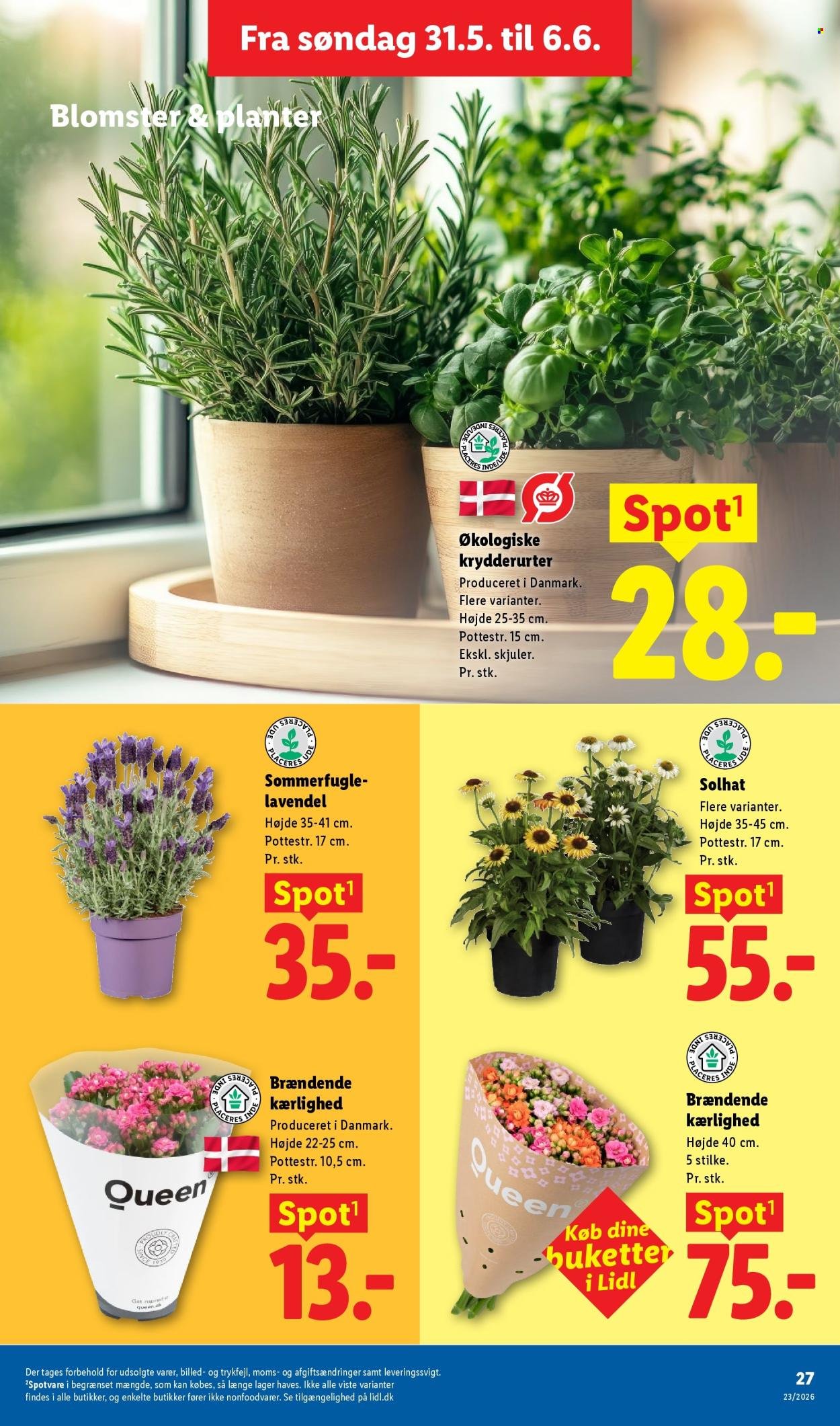 LIDL tilbudsavis - Fra søndag den 31. maj 2026