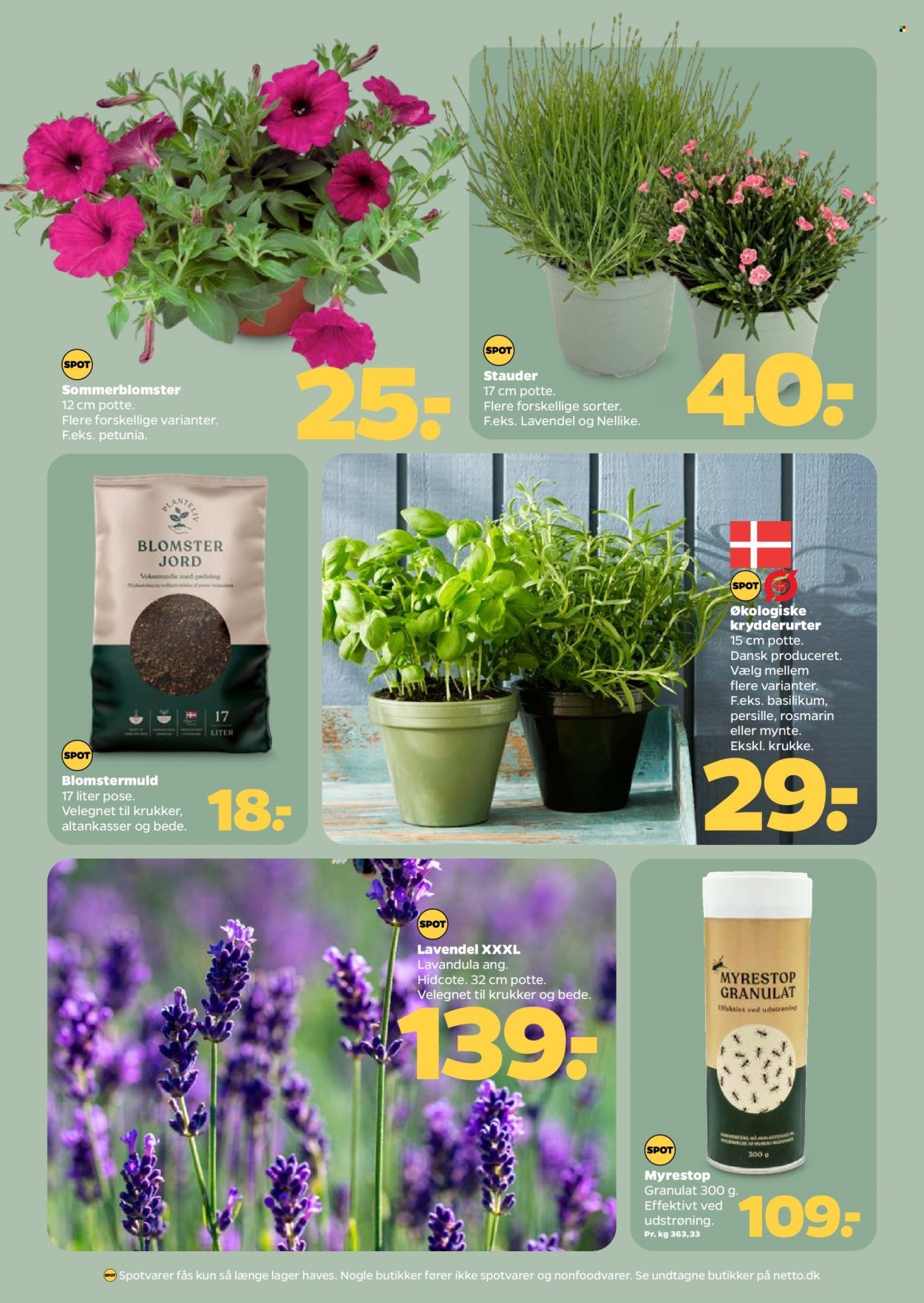 NETTO tilbudsavis - Fra lørdag den 23. maj 2026
