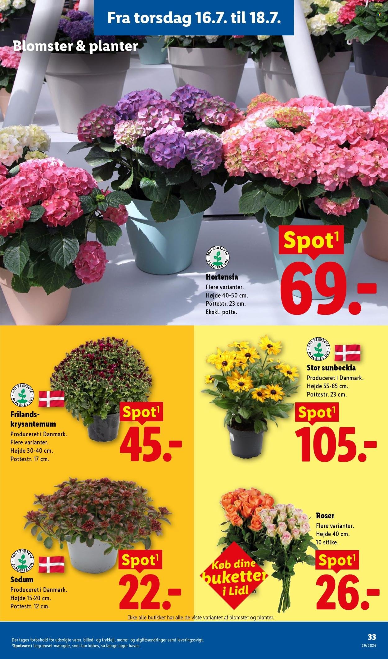 LIDL tilbudsavis - Fra søndag den 12. juli 2026