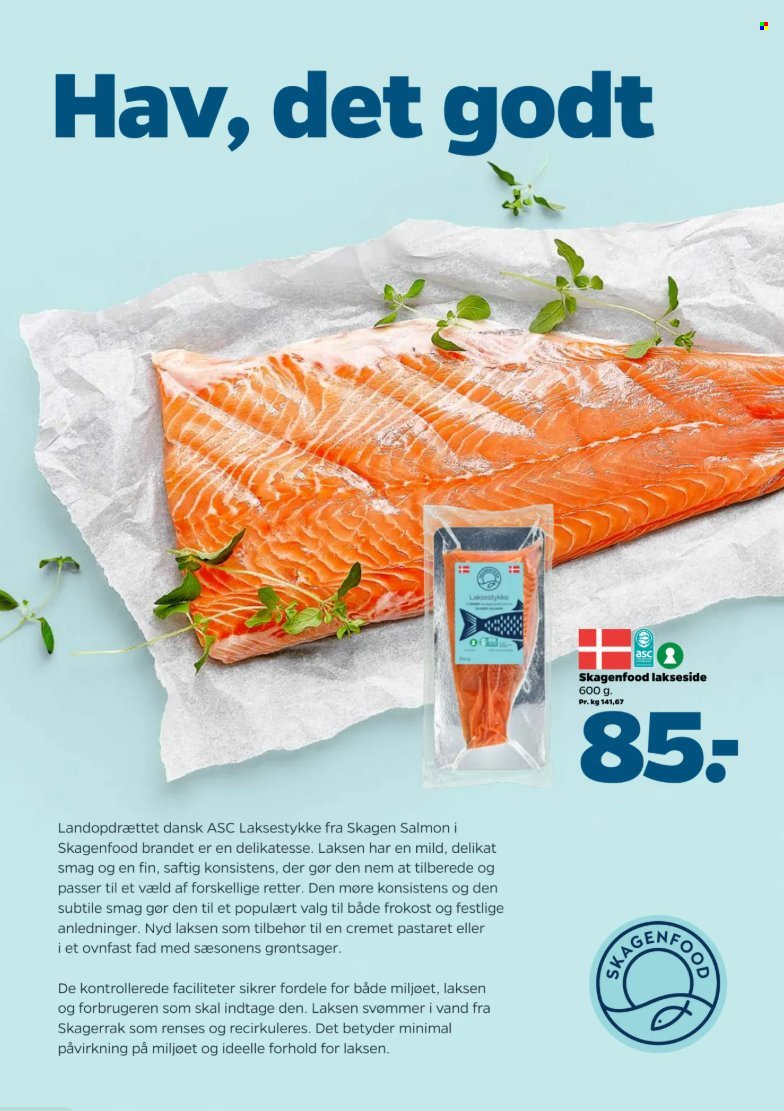 NETTO tilbudsavis - Fra lørdag den 22. august 2026