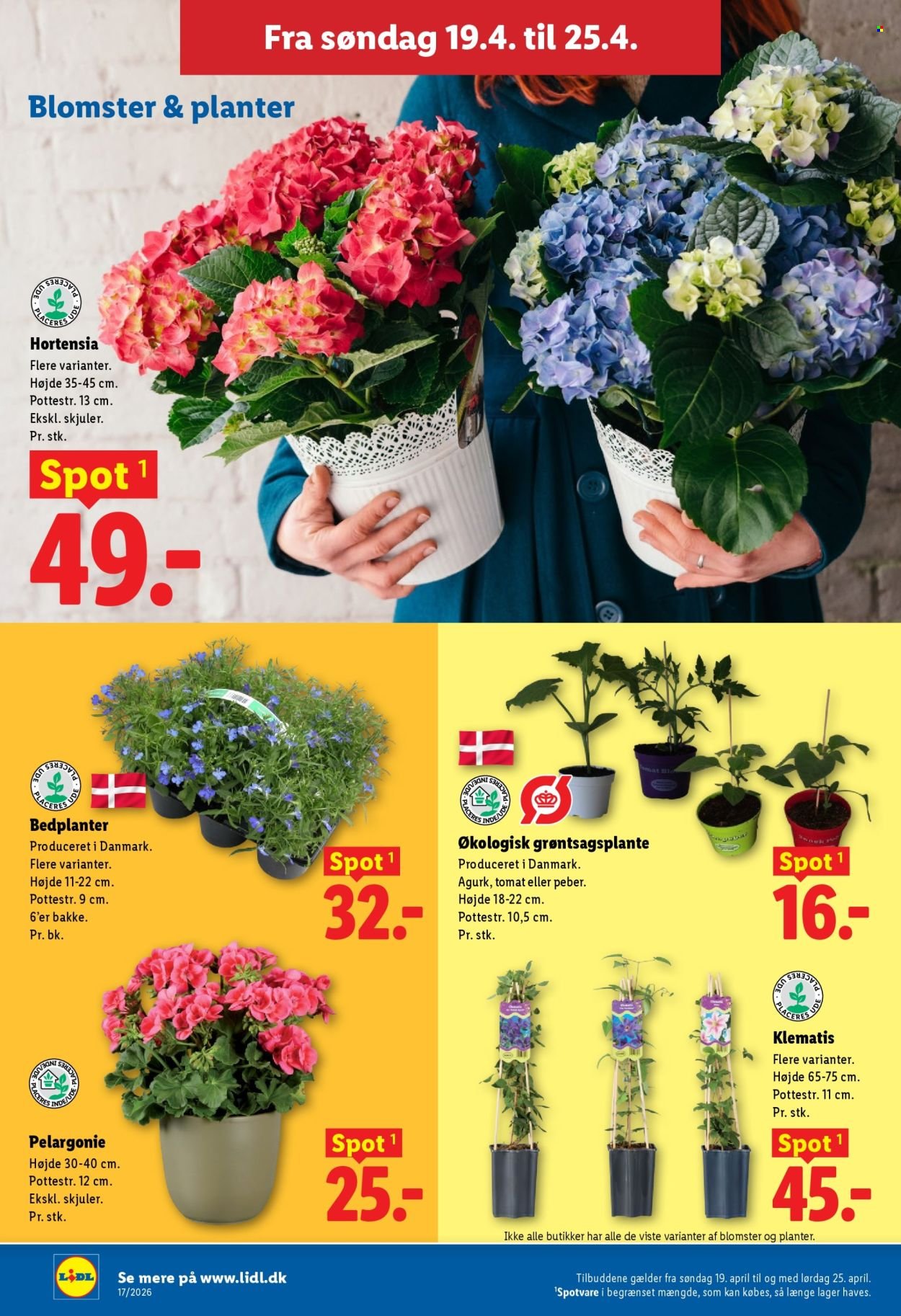 LIDL tilbudsavis - Fra søndag den 19. april 2026 (2026-04-19 - 2026-04-25)