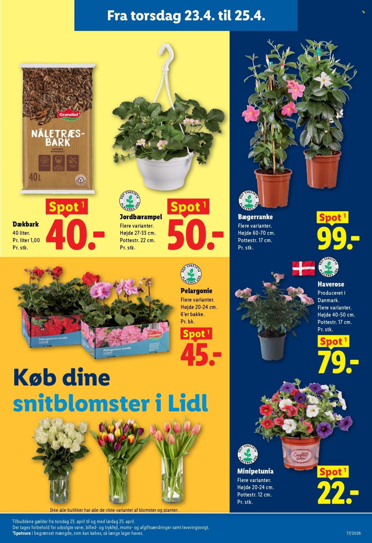 LIDL tilbudsavis - Fra søndag den 19. april 2026 (2026-04-19 - 2026-04-25)