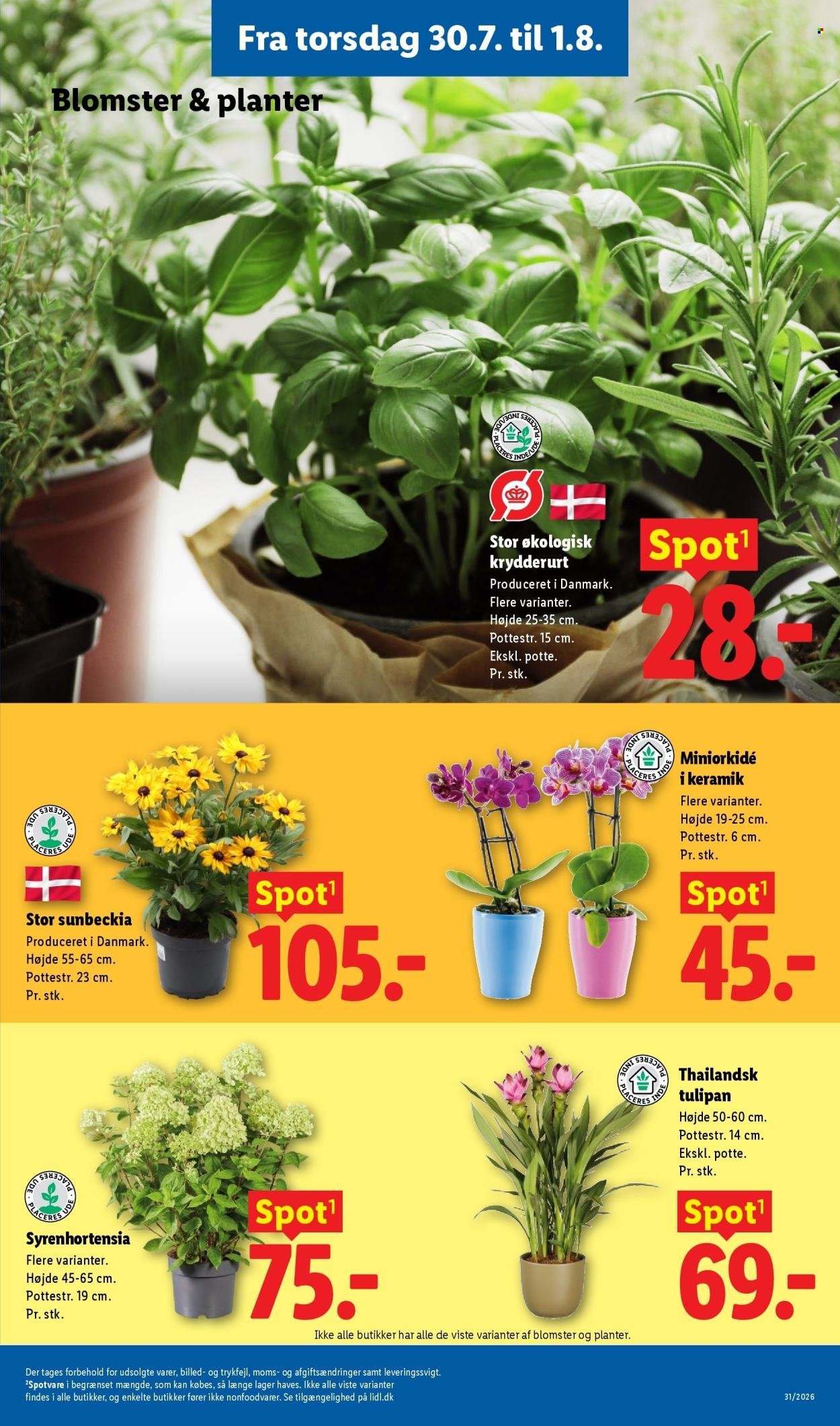 LIDL tilbudsavis - Fra søndag den 26. juli 2026