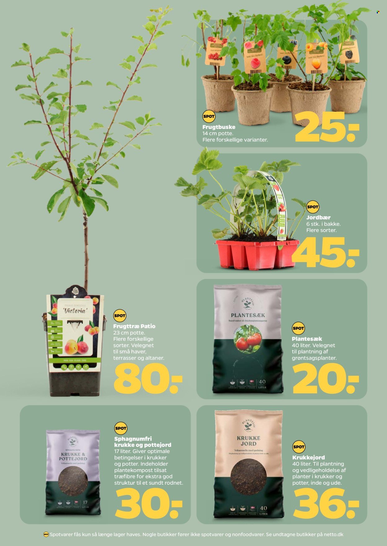 NETTO tilbudsavis - Fra lørdag den 21. marts 2026