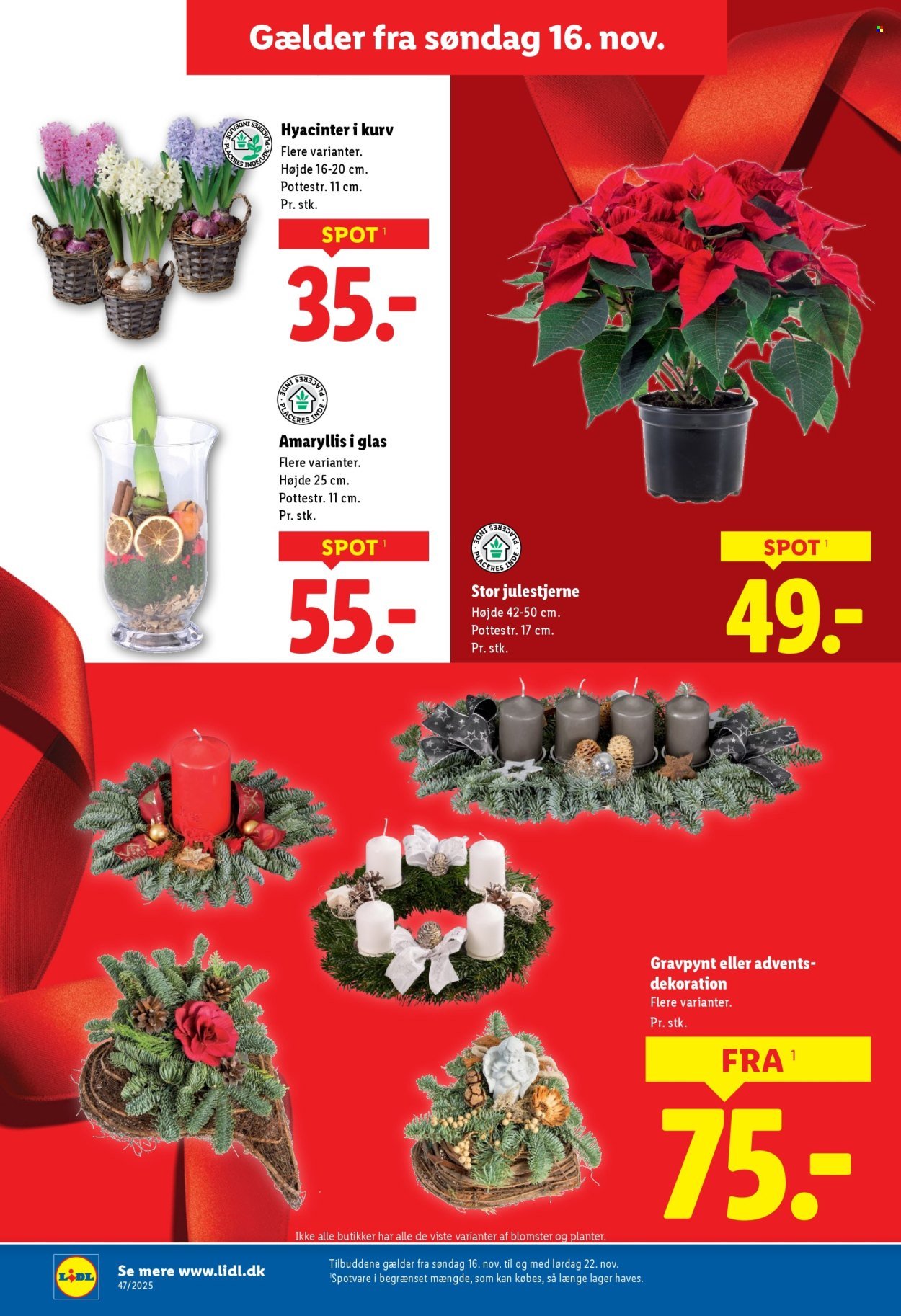 LIDL tilbudsavis - Fra søndag den 16. november 2025