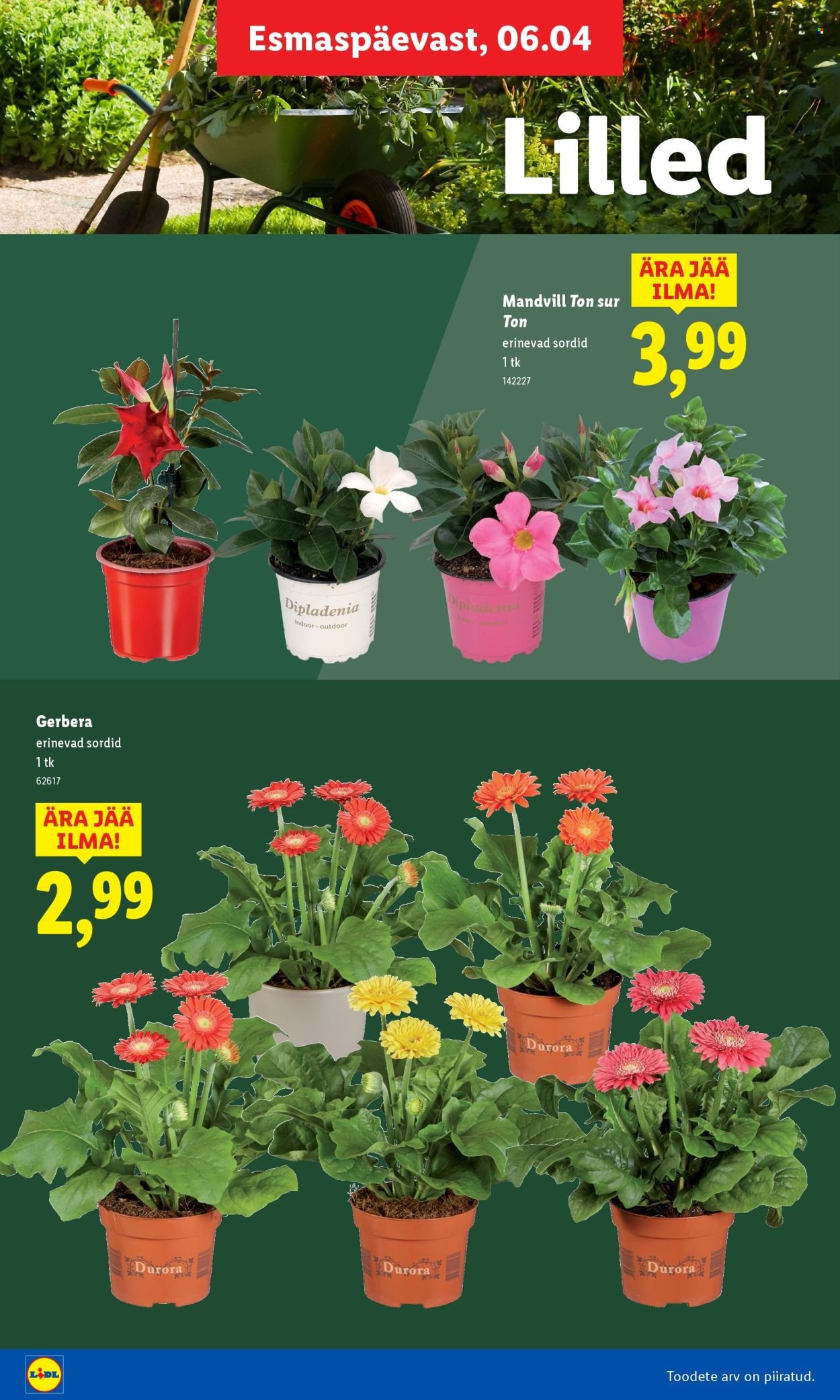 LIDL kliendileht - Aiakataloog Alates