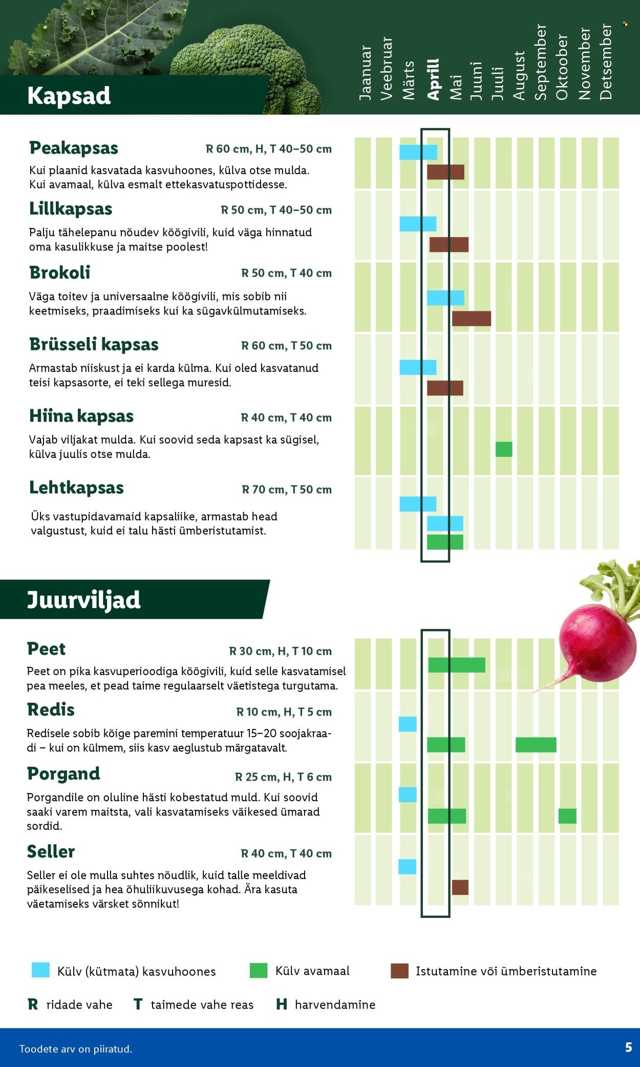 LIDL kliendileht - Aiakataloog Alates
