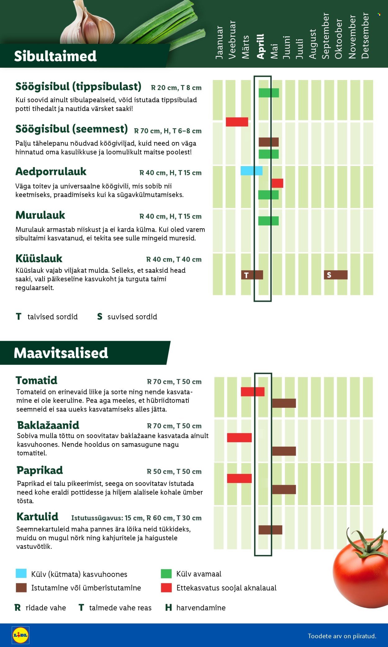LIDL kliendileht - Aiakataloog Alates