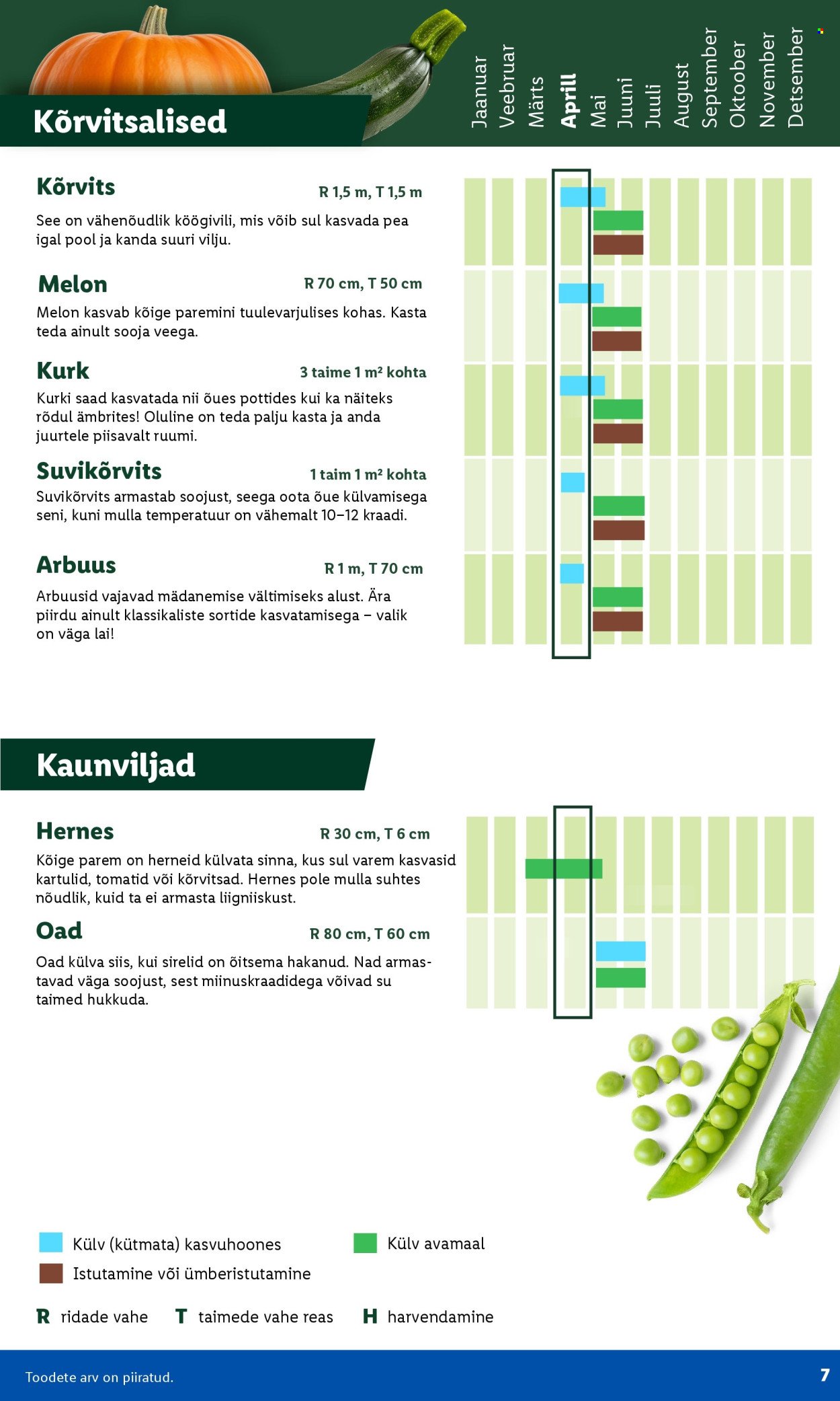 LIDL kliendileht - Aiakataloog Alates