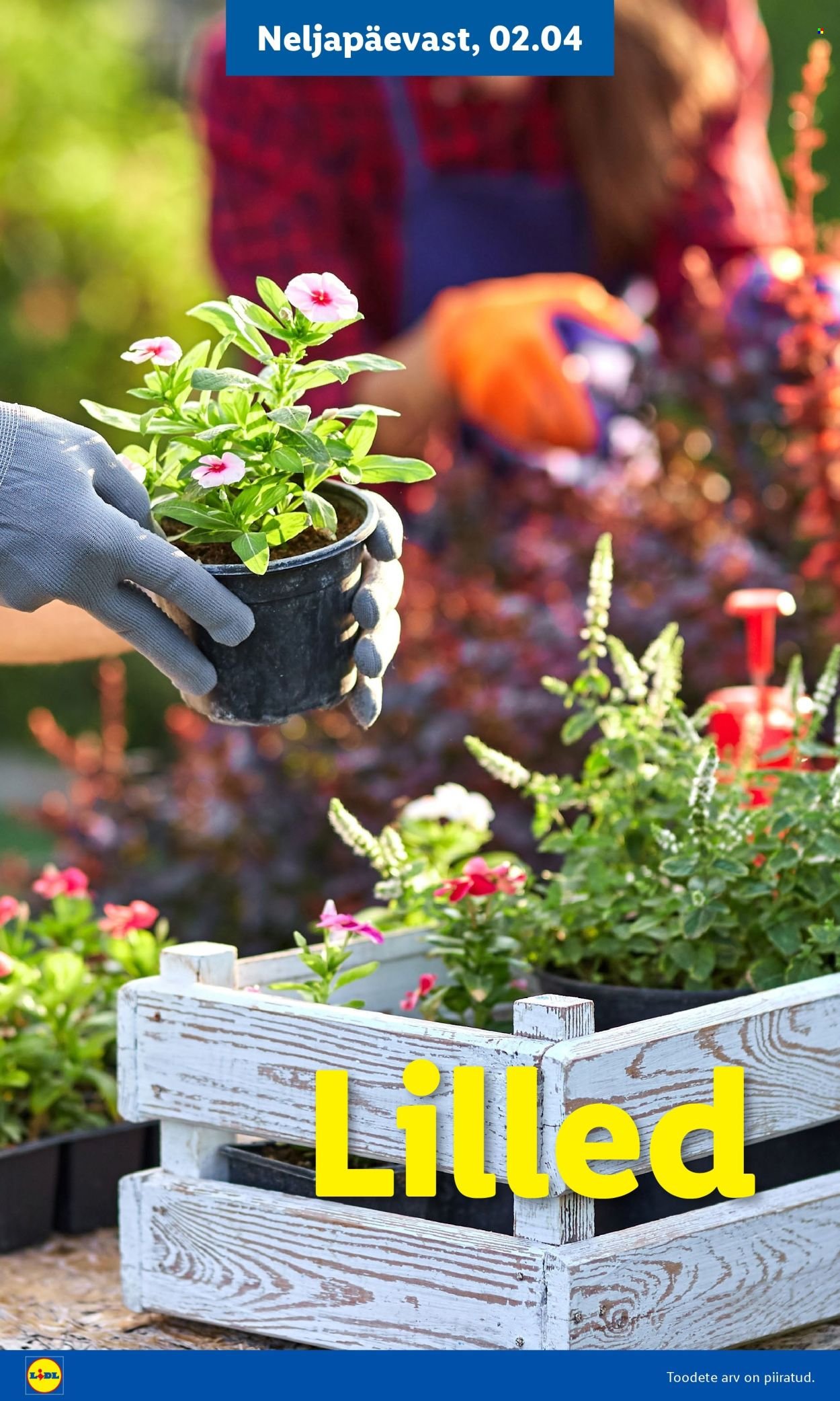 LIDL kliendileht - Aiakataloog Alates