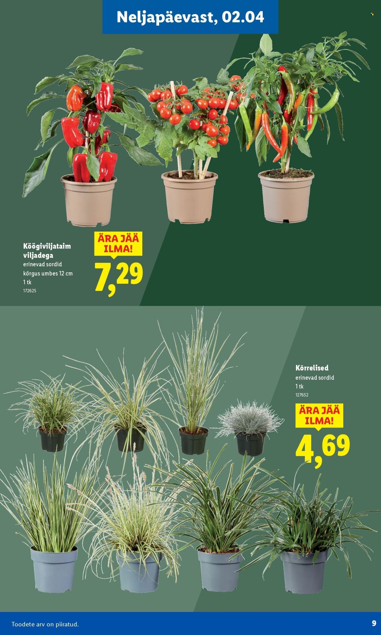 LIDL kliendileht - Aiakataloog Alates