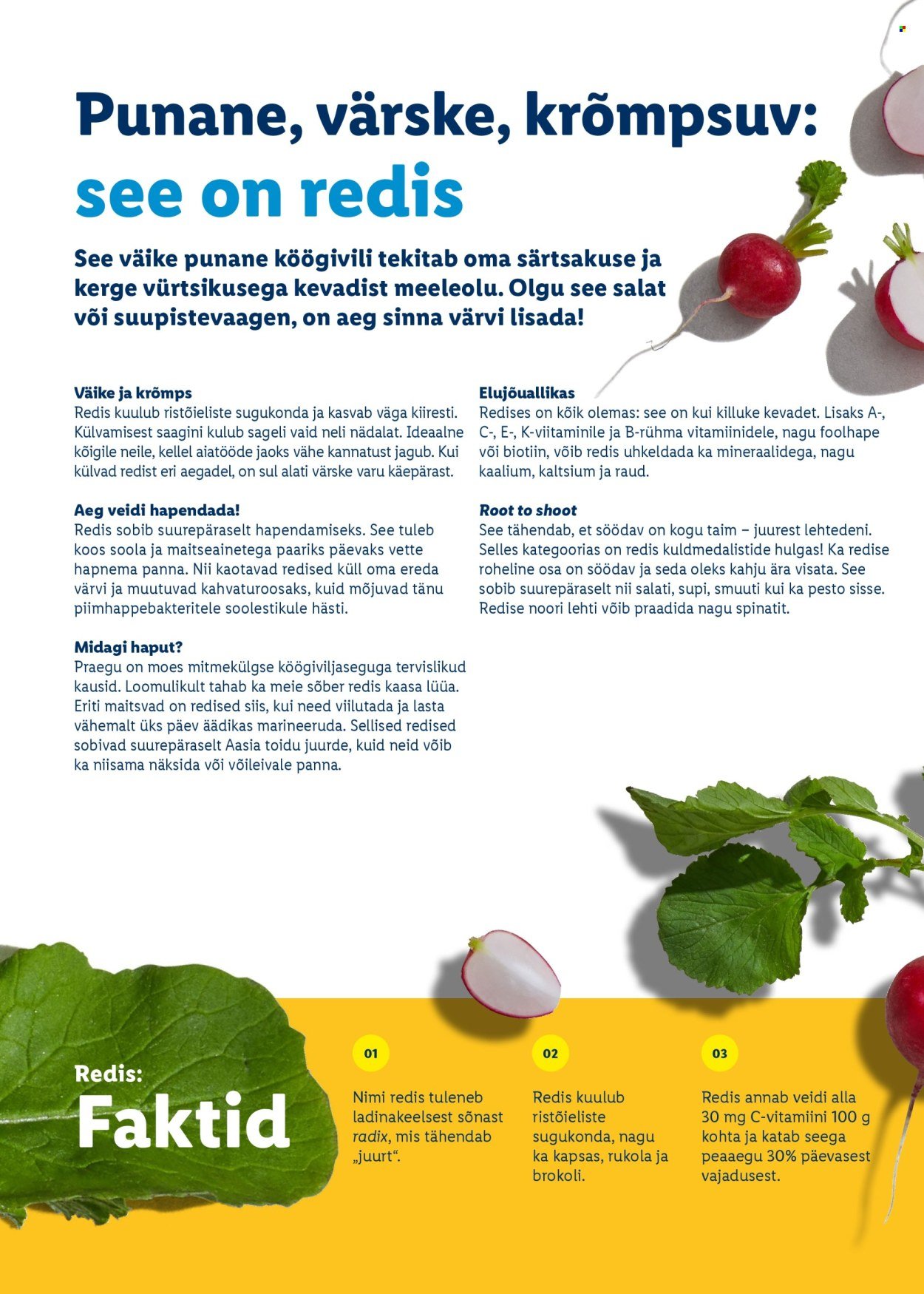 LIDL kliendileht - Rõõmu täis lihavõtted