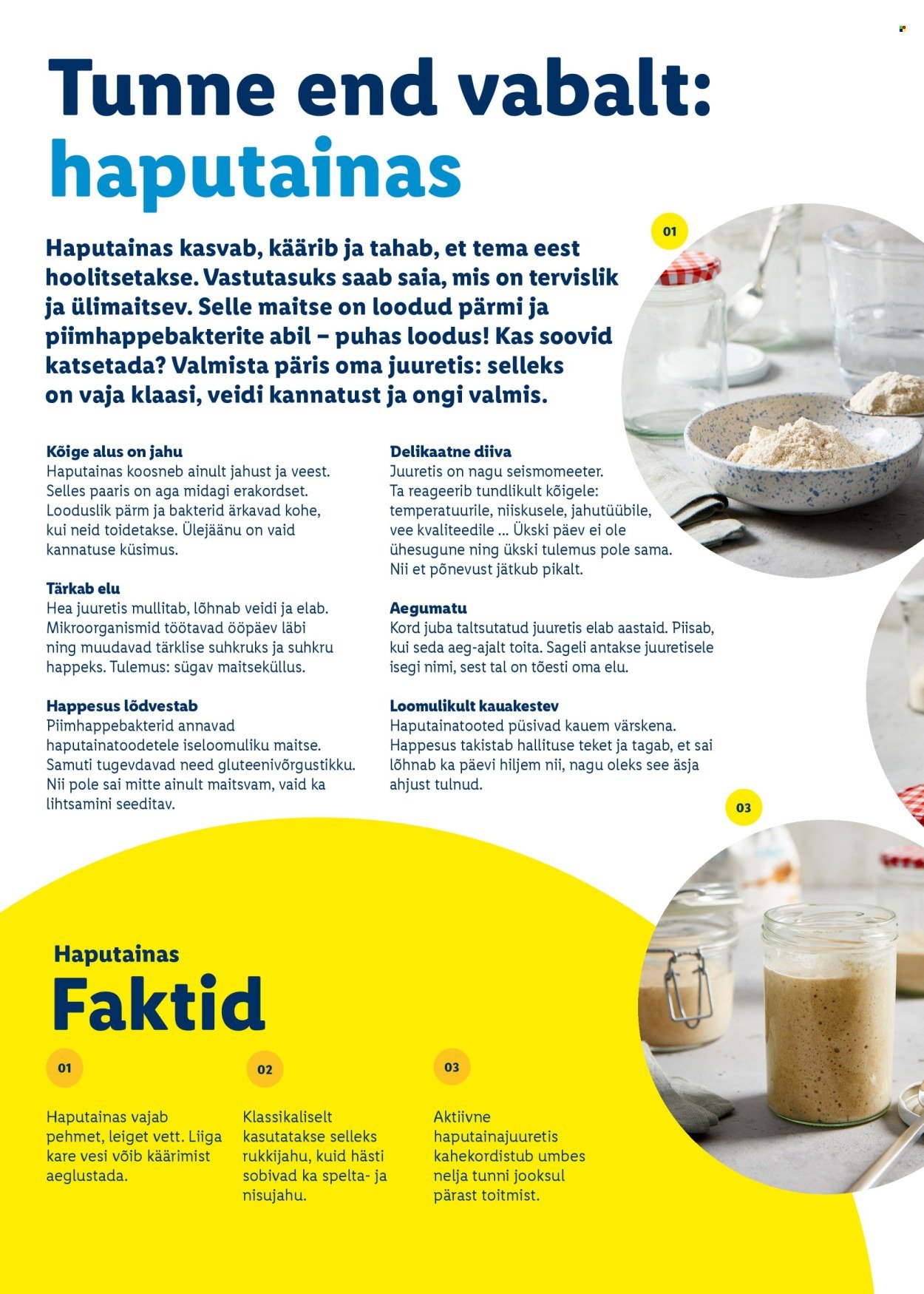 LIDL kliendileht - Rõõmu täis lihavõtted