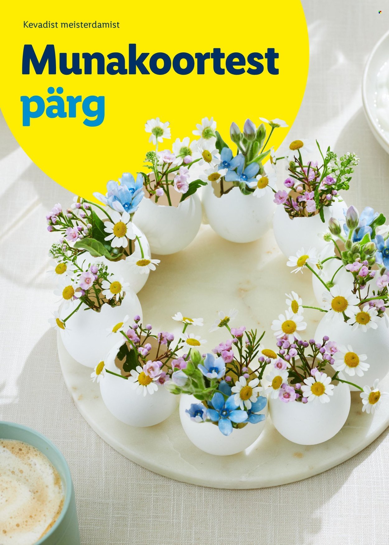 LIDL kliendileht - Rõõmu täis lihavõtted