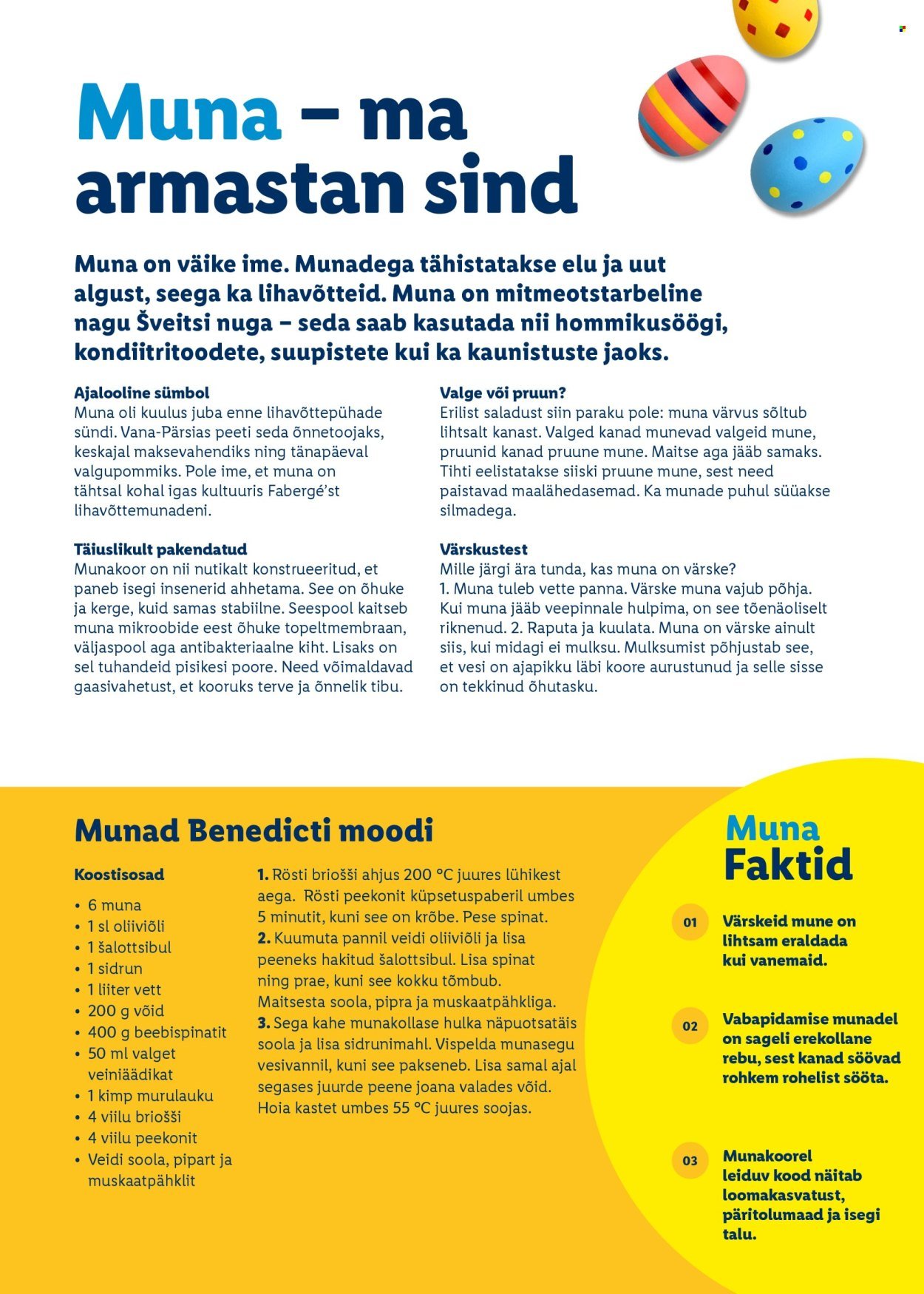 LIDL kliendileht - Rõõmu täis lihavõtted