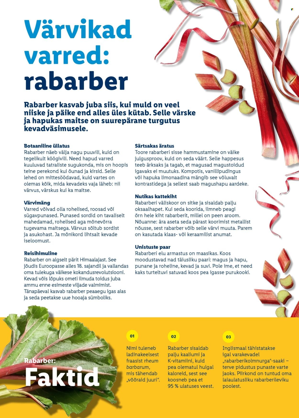 LIDL kliendileht - Rõõmu täis lihavõtted