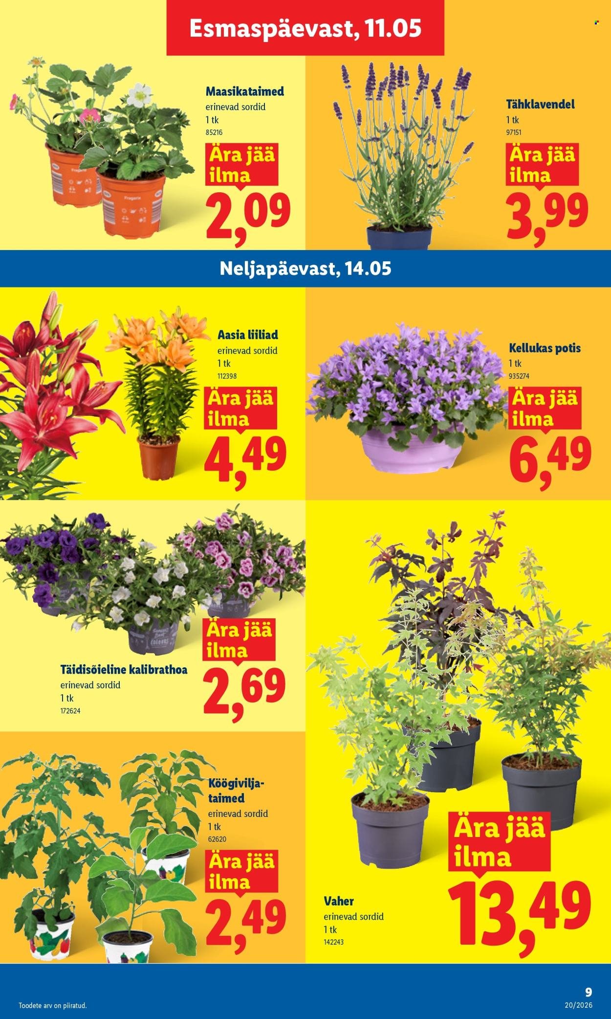 LIDL kliendileht - Kliendileht
