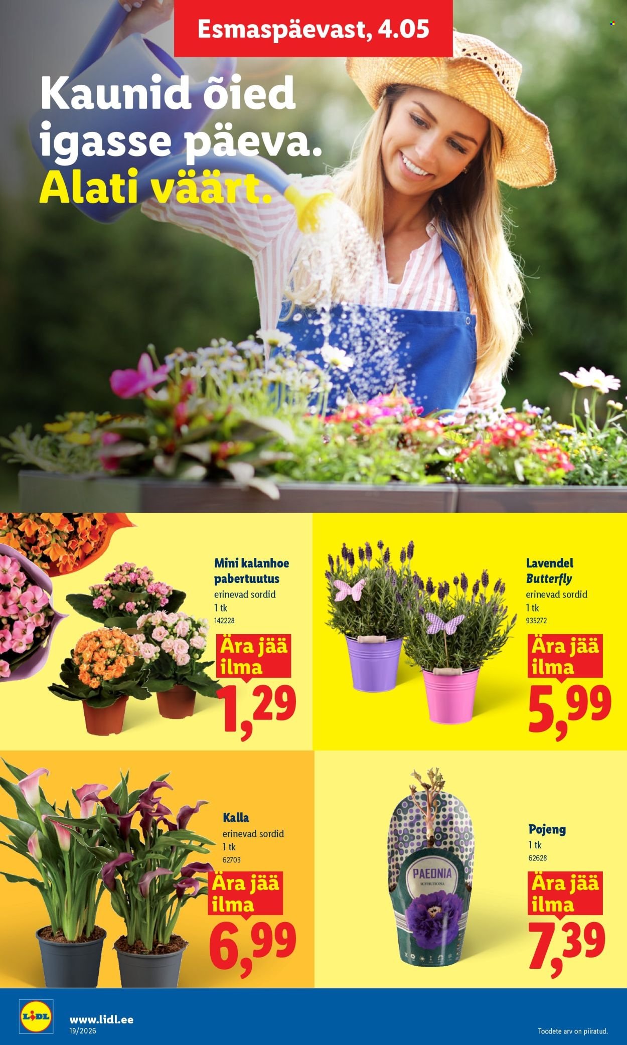 LIDL kliendileht - Kliendileht