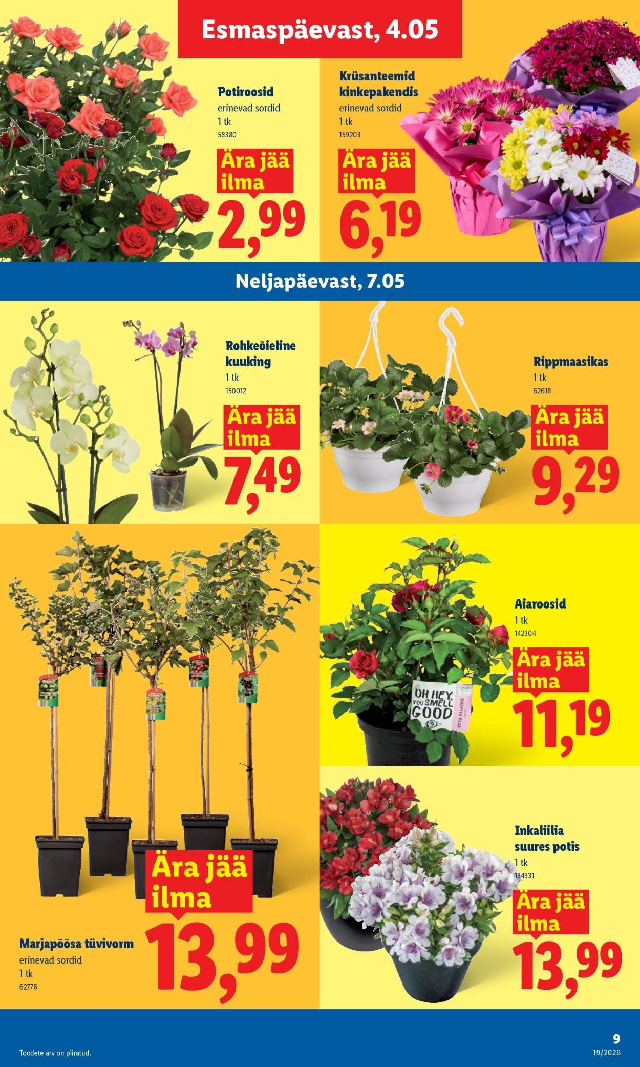LIDL kliendileht - Kliendileht