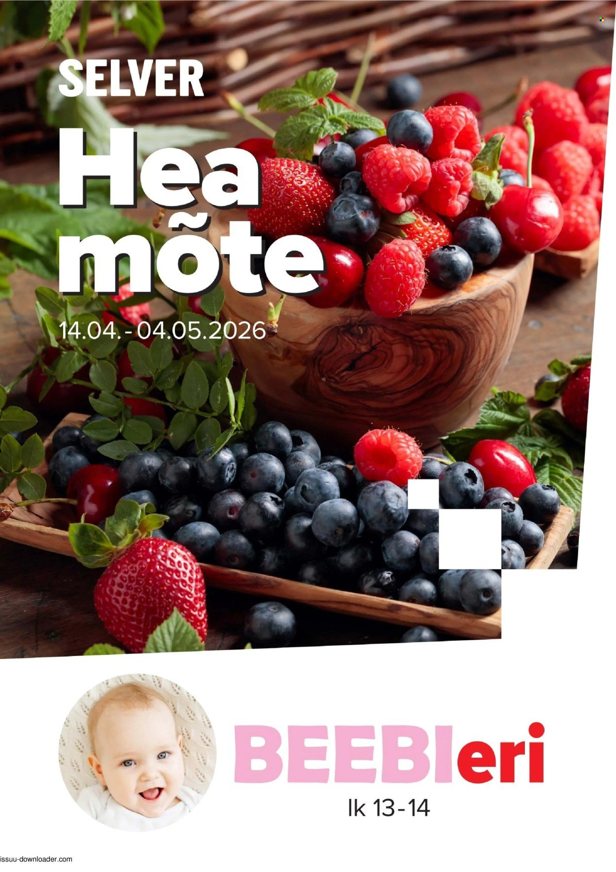 SELVER kliendileht - Hea mõte