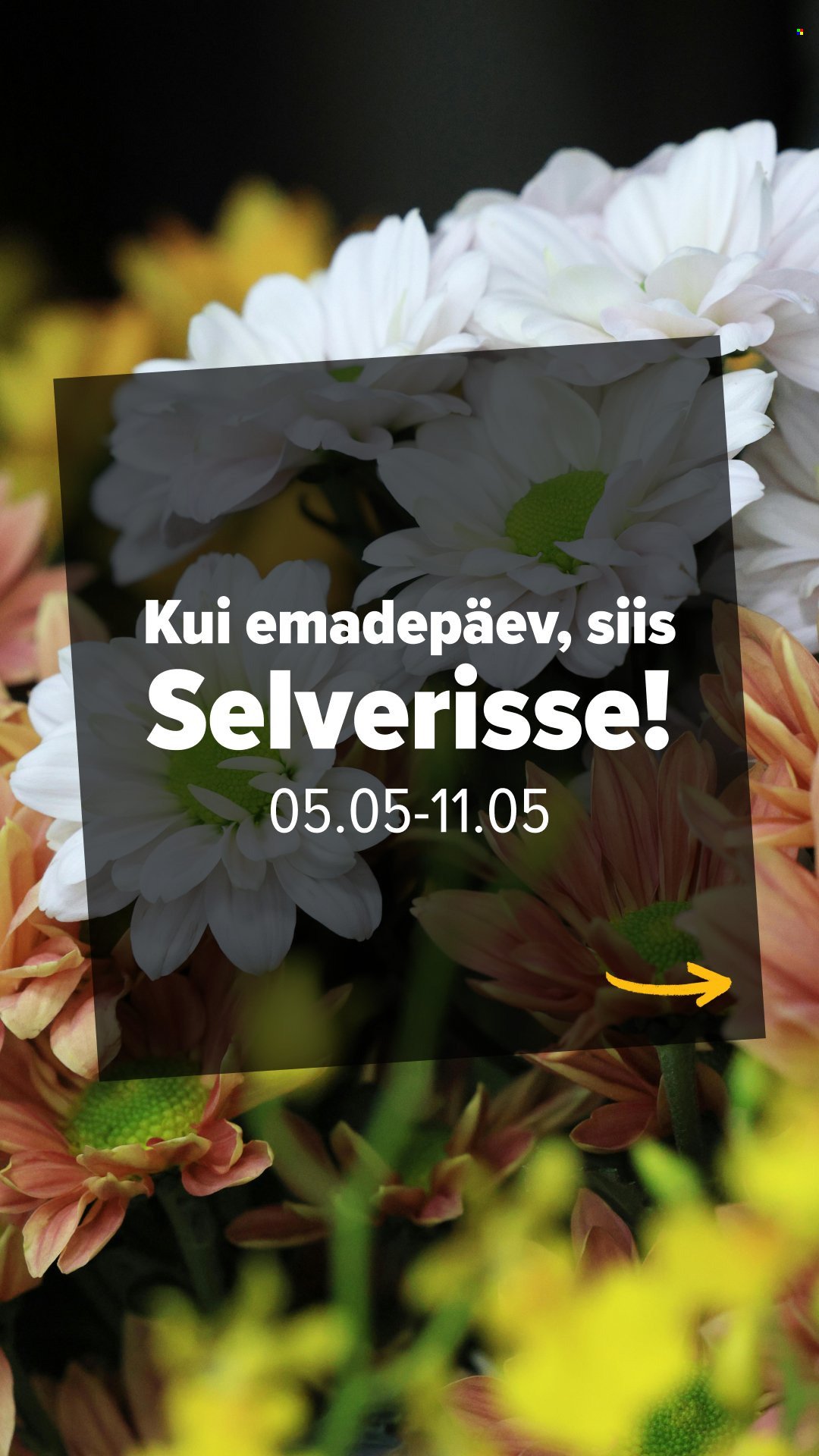 SELVER kliendileht - Nädala parim hind