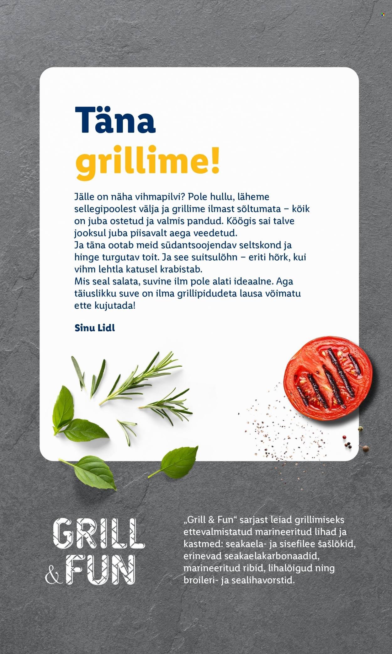 LIDL kliendileht - Grilli kataloog