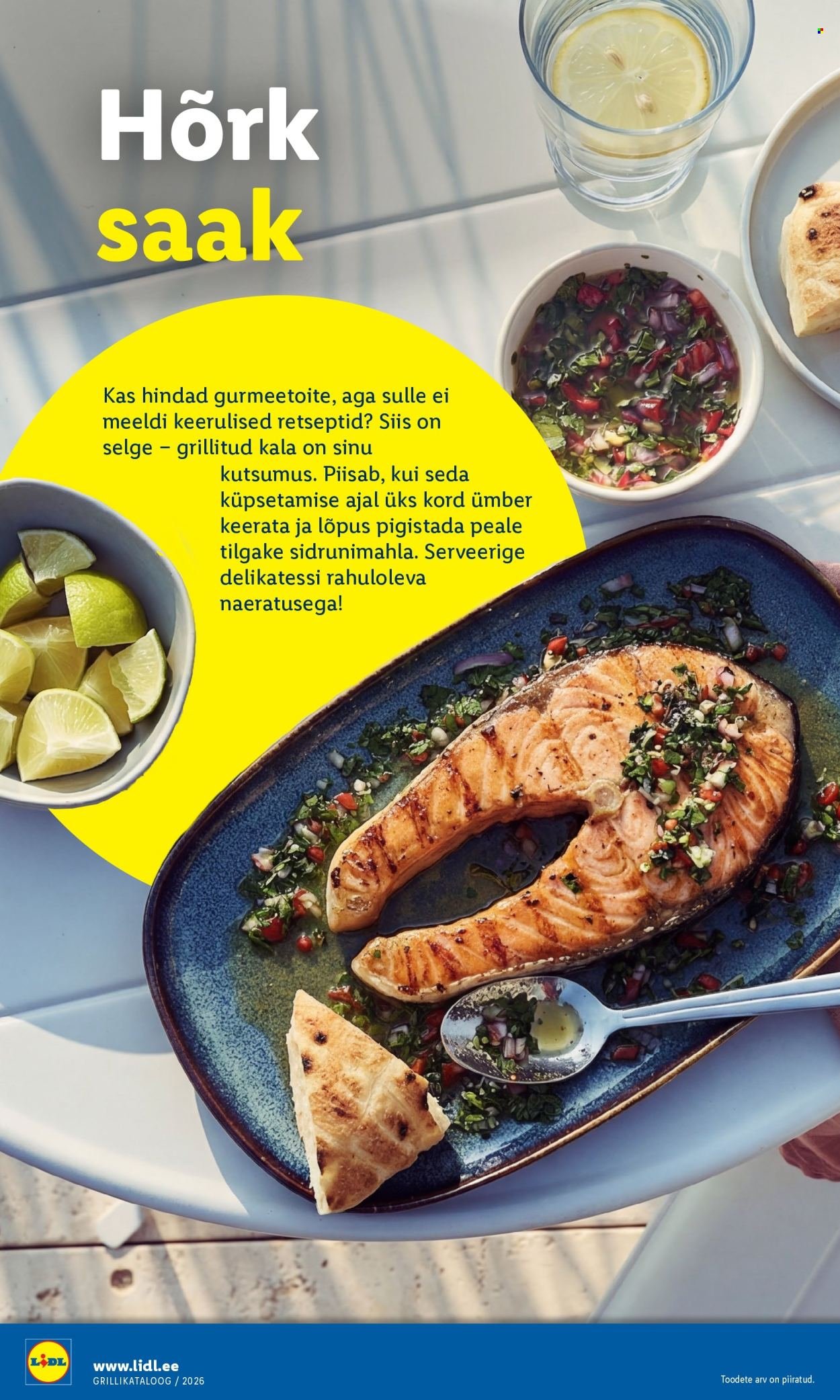 LIDL kliendileht - Grilli kataloog