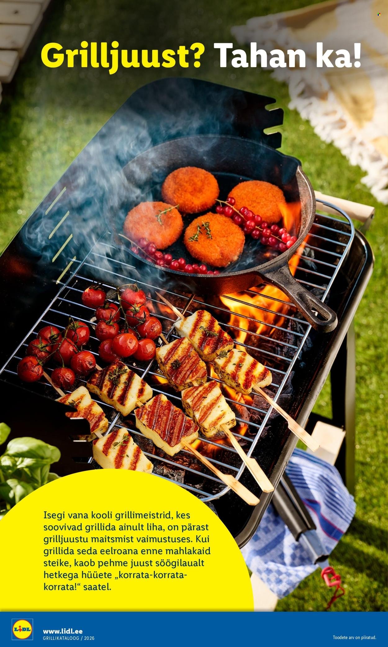 LIDL kliendileht - Grilli kataloog