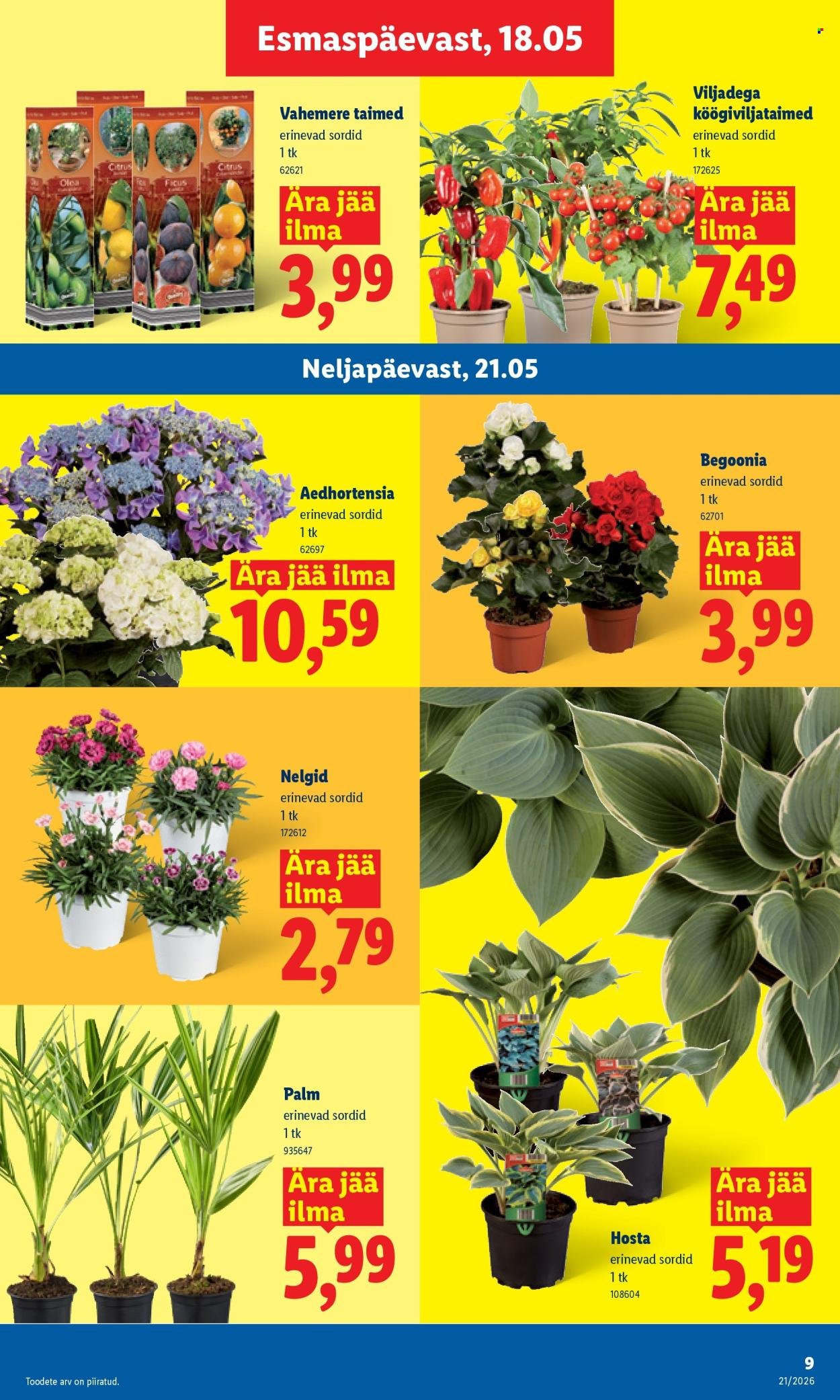 LIDL kliendileht - Kliendileht
