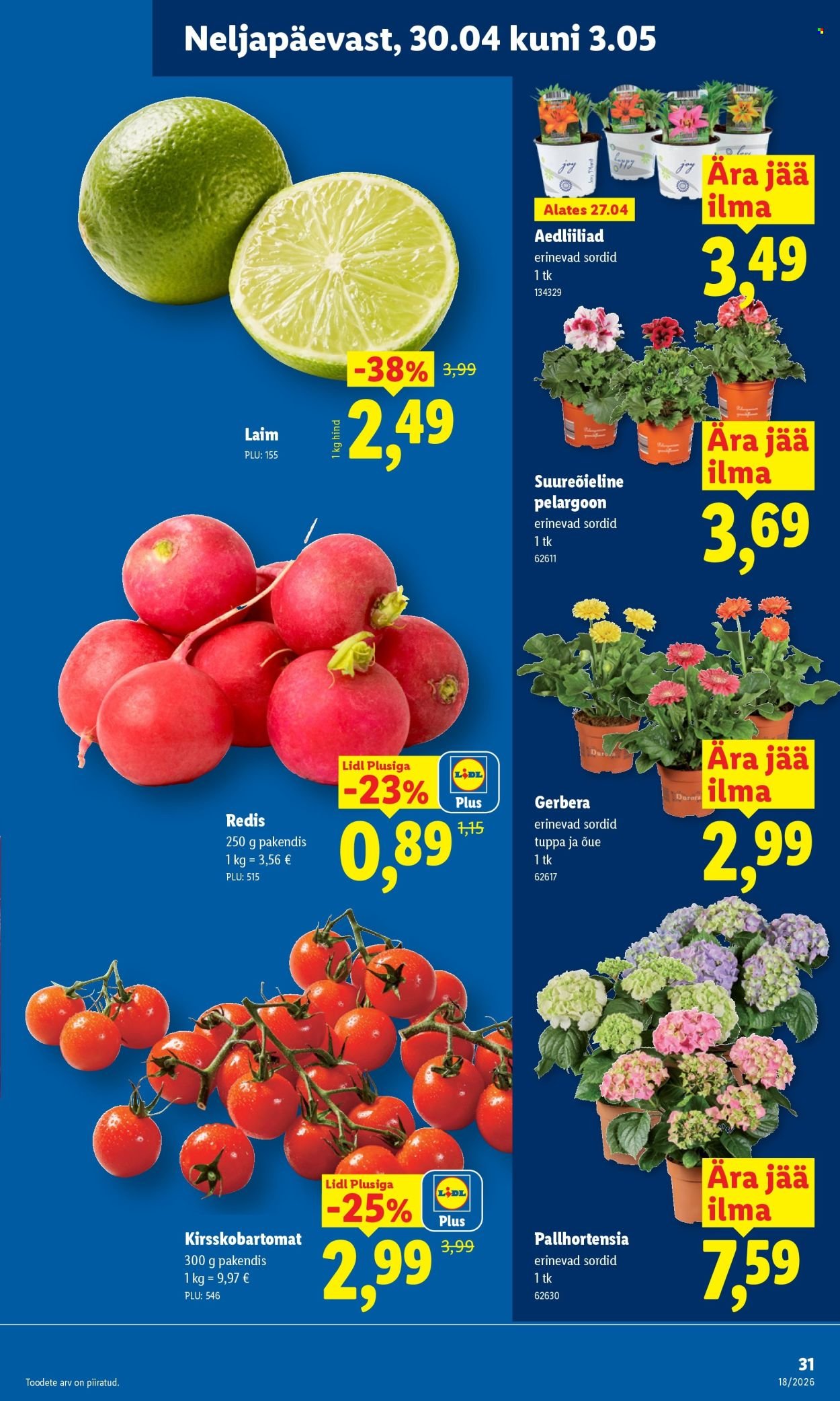 LIDL kliendileht - Kliendileht