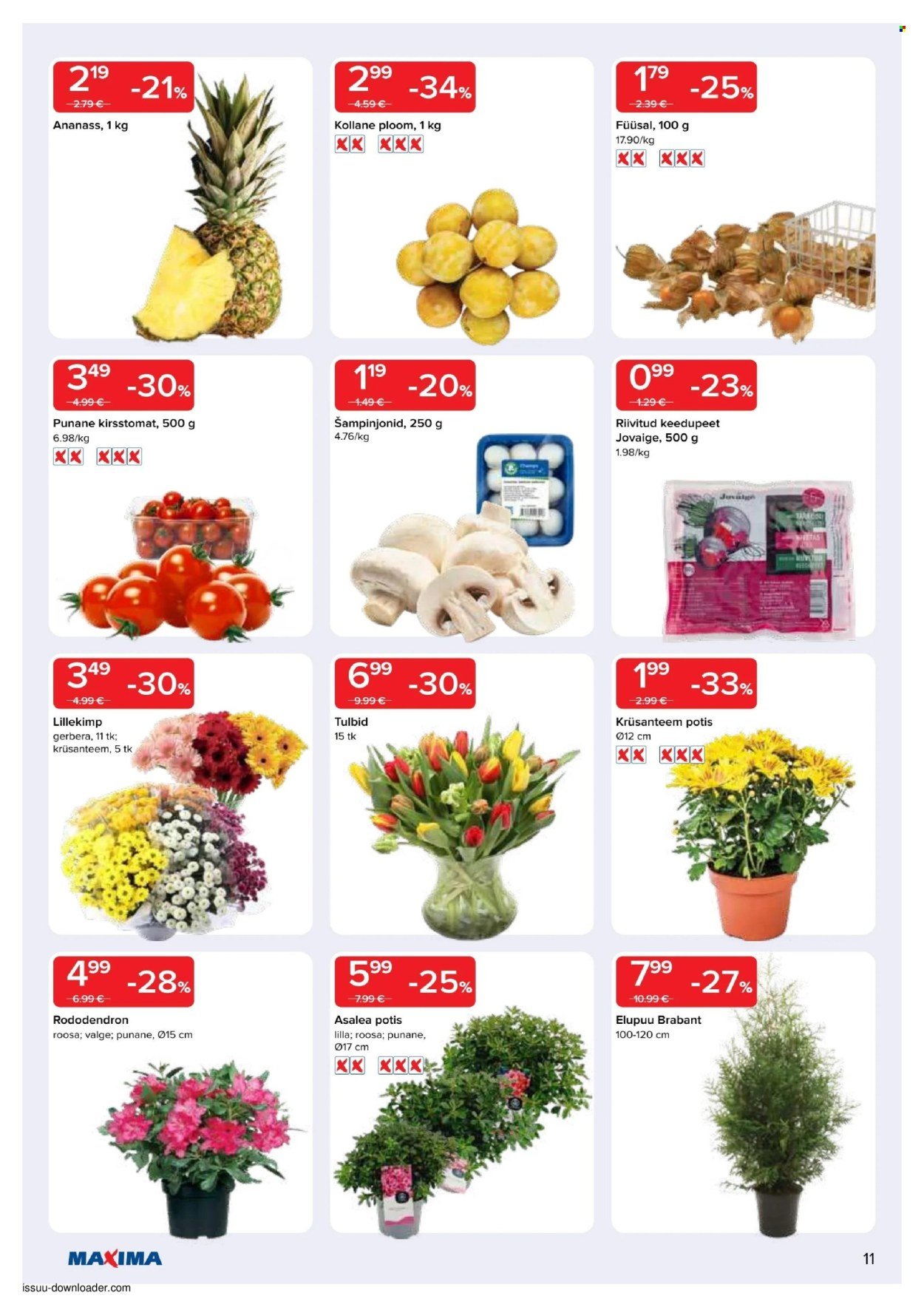 MAXIMA kliendileht - Maxima kliendileht