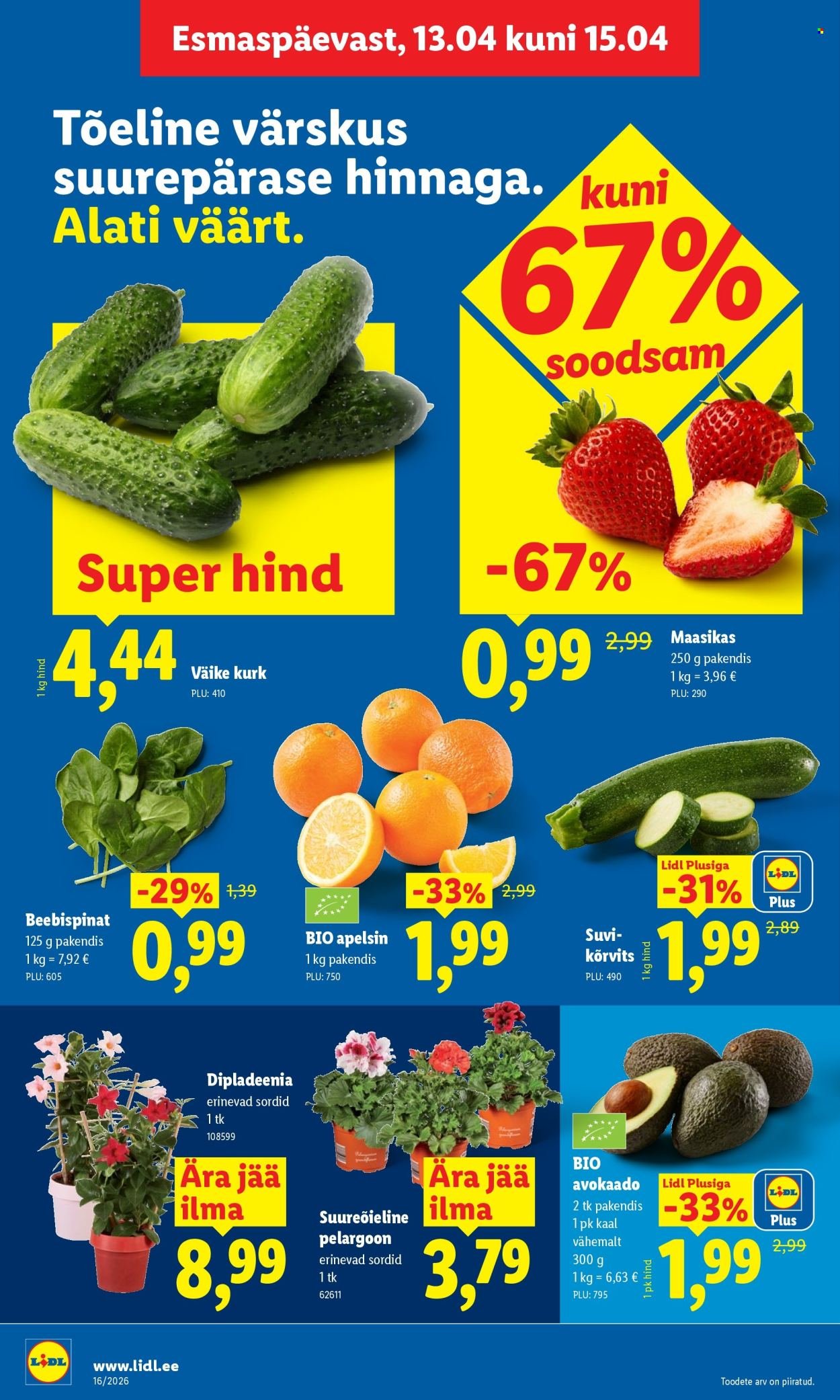 LIDL kliendileht - Kliendileht