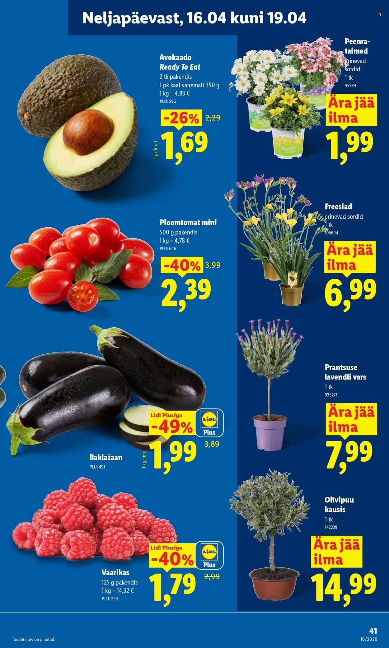LIDL kliendileht - Kliendileht