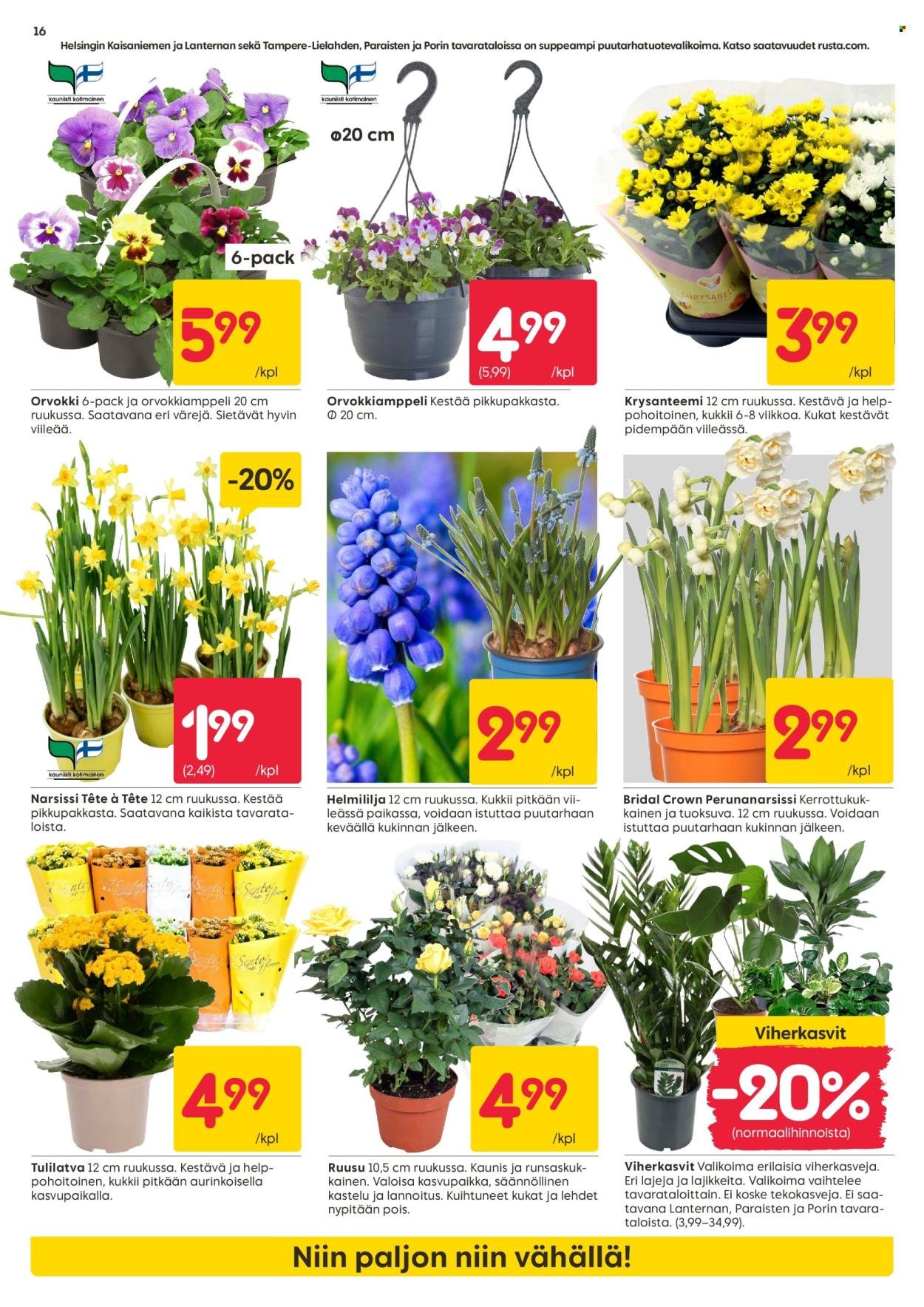 RUSTA tarjoukset - Alkaen MA 30.3.2026