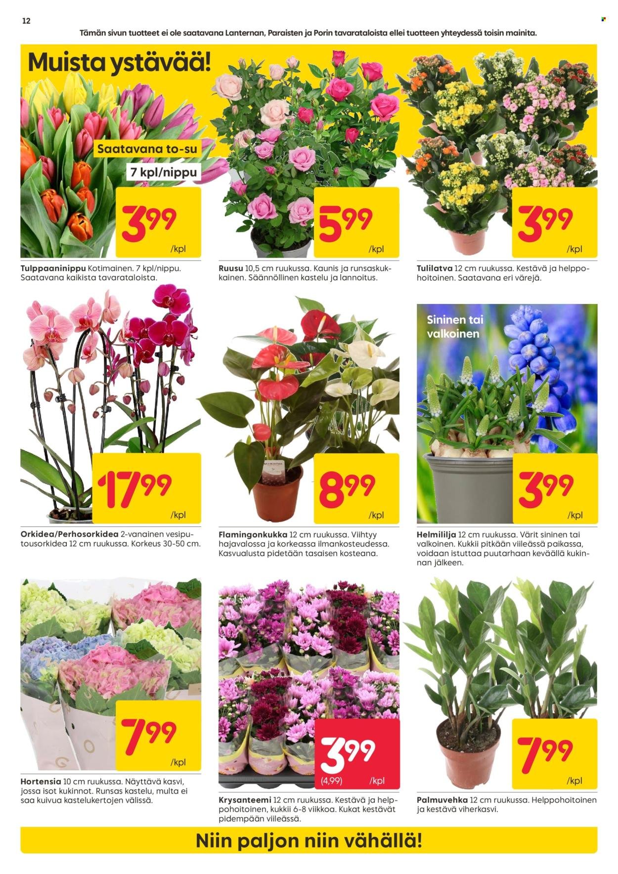 RUSTA tarjoukset - Alkaen MA 9.2.2026