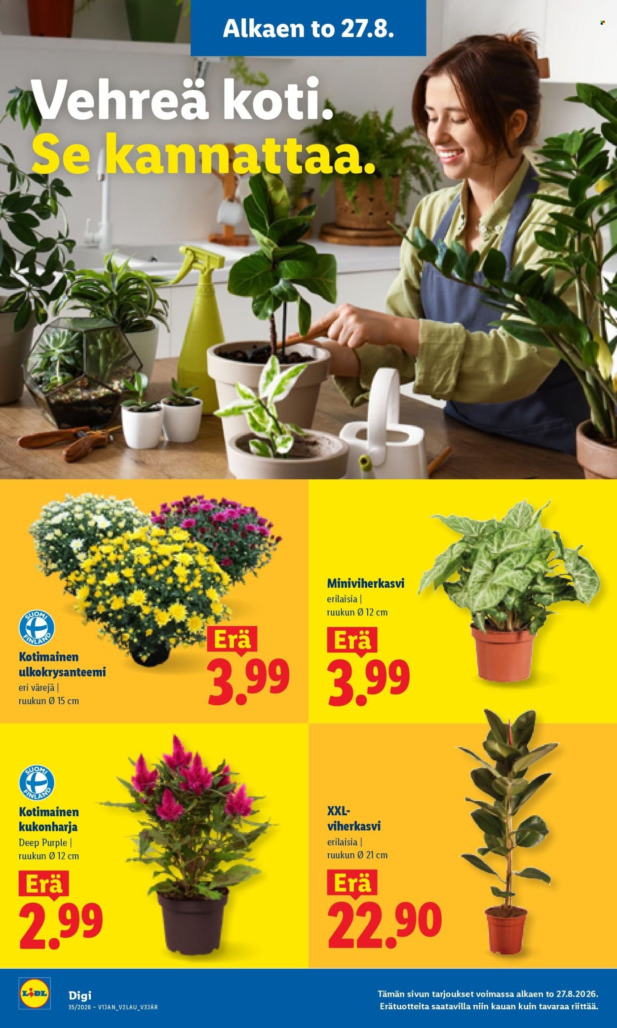 LIDL tarjoukset - Alkaen TO 27.8.2026