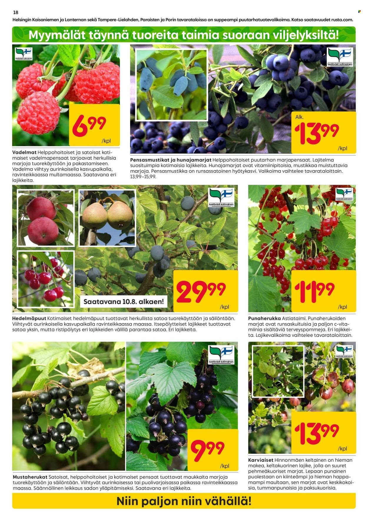 RUSTA tarjoukset - Alkaen MA 3.8.2026