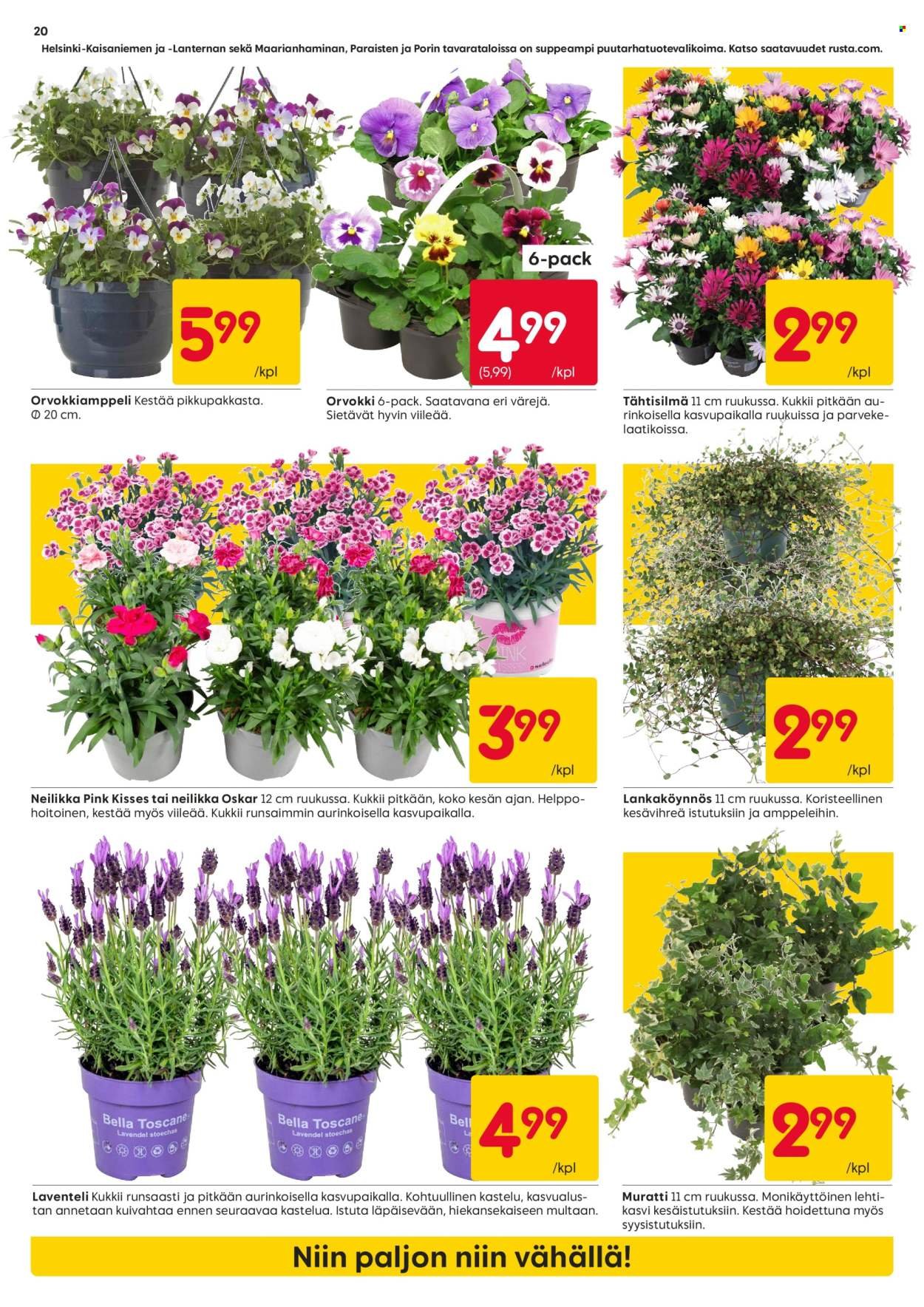 RUSTA tarjoukset - Alkaen MA 13.4.2026