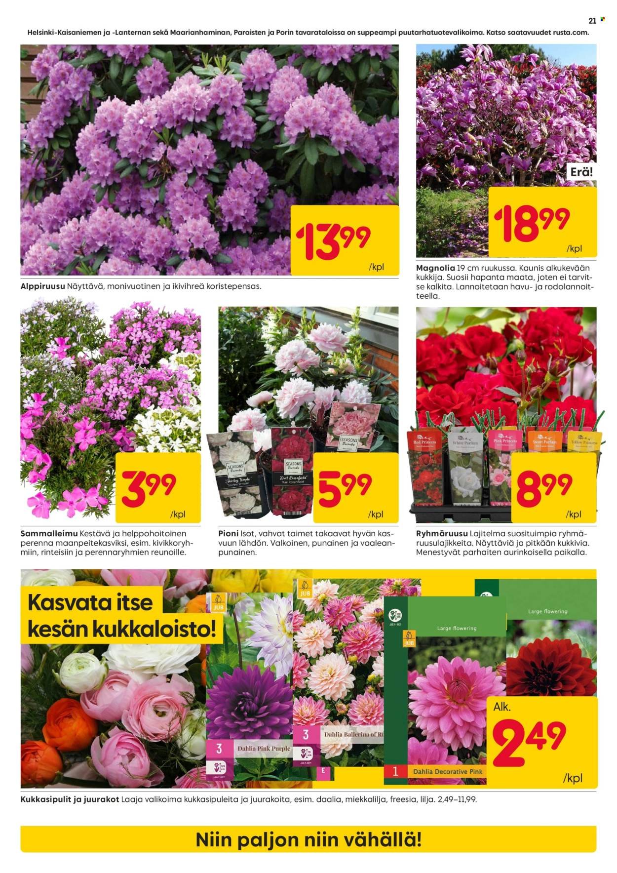 RUSTA tarjoukset - Alkaen MA 13.4.2026