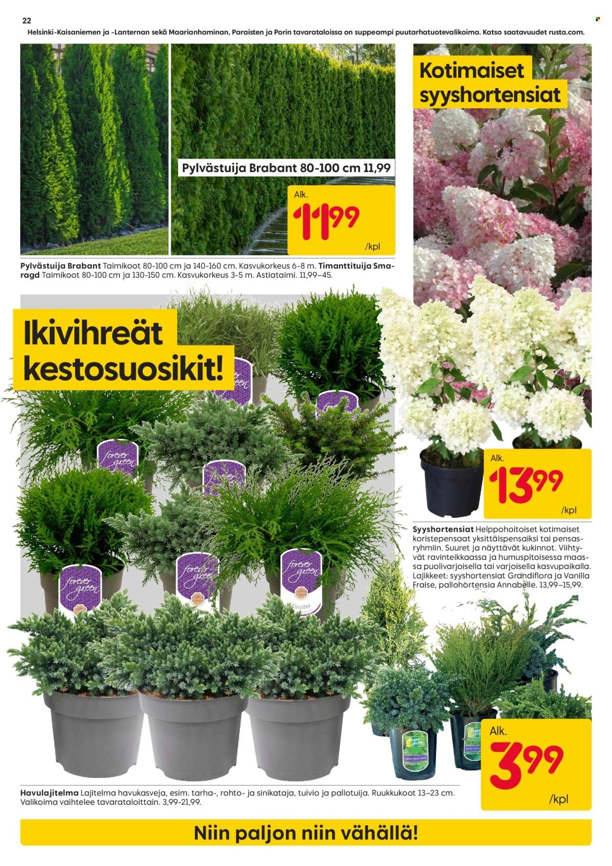 RUSTA tarjoukset - Alkaen MA 13.4.2026