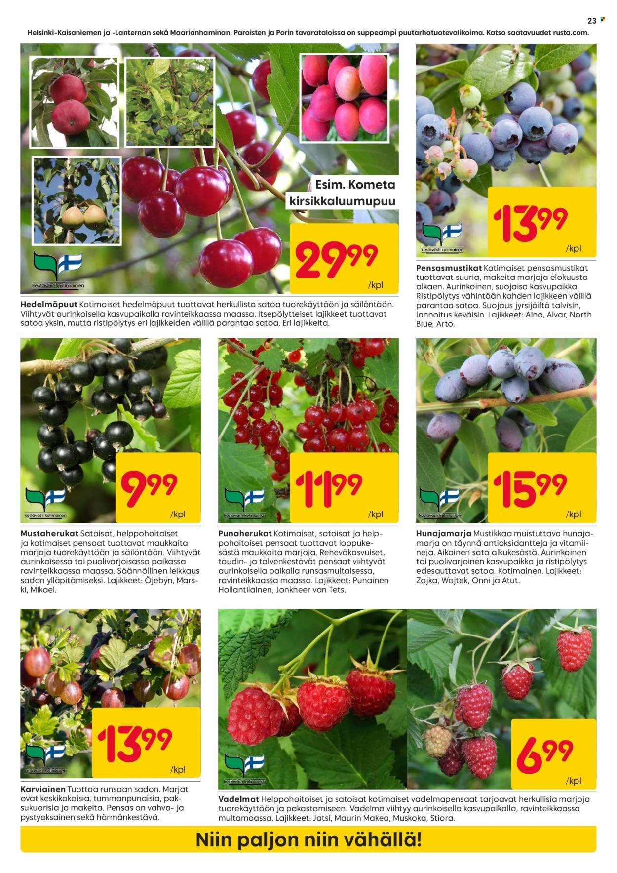 RUSTA tarjoukset - Alkaen MA 13.4.2026