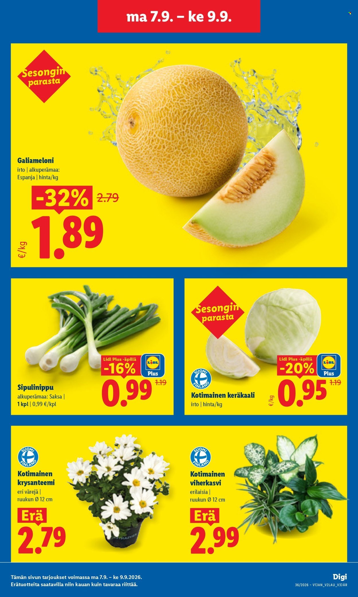 LIDL tarjoukset - Alkaen MA 7.9.2026