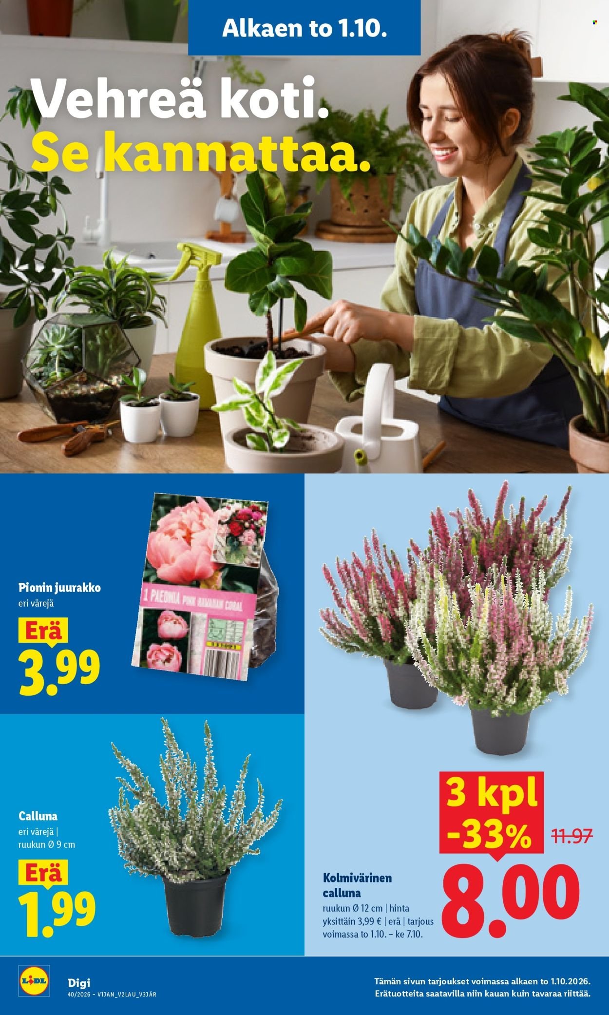 LIDL tarjoukset - Alkaen TO 1.10.2026