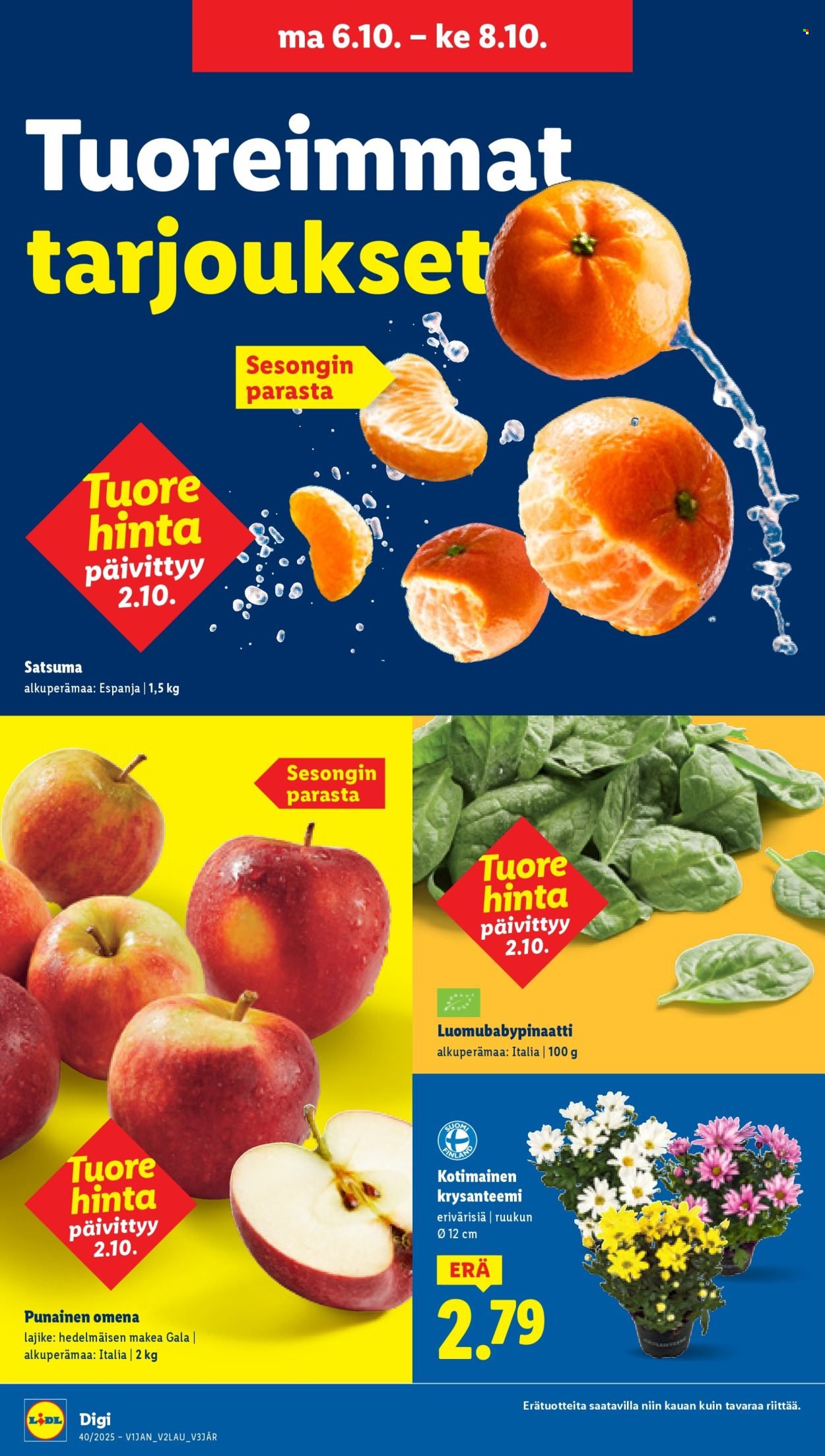 LIDL tarjoukset - Alkaen TO 2.10.2025 (2025-10-02 - 2025-10-08)