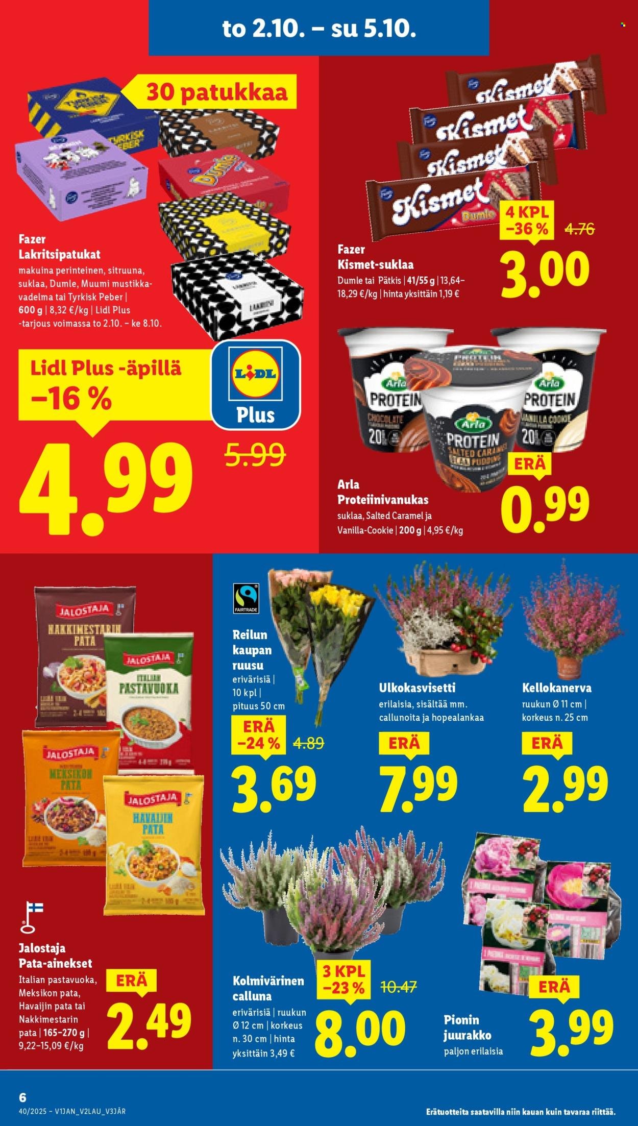 LIDL tarjoukset - Alkaen TO 2.10.2025 (2025-10-02 - 2025-10-08)
