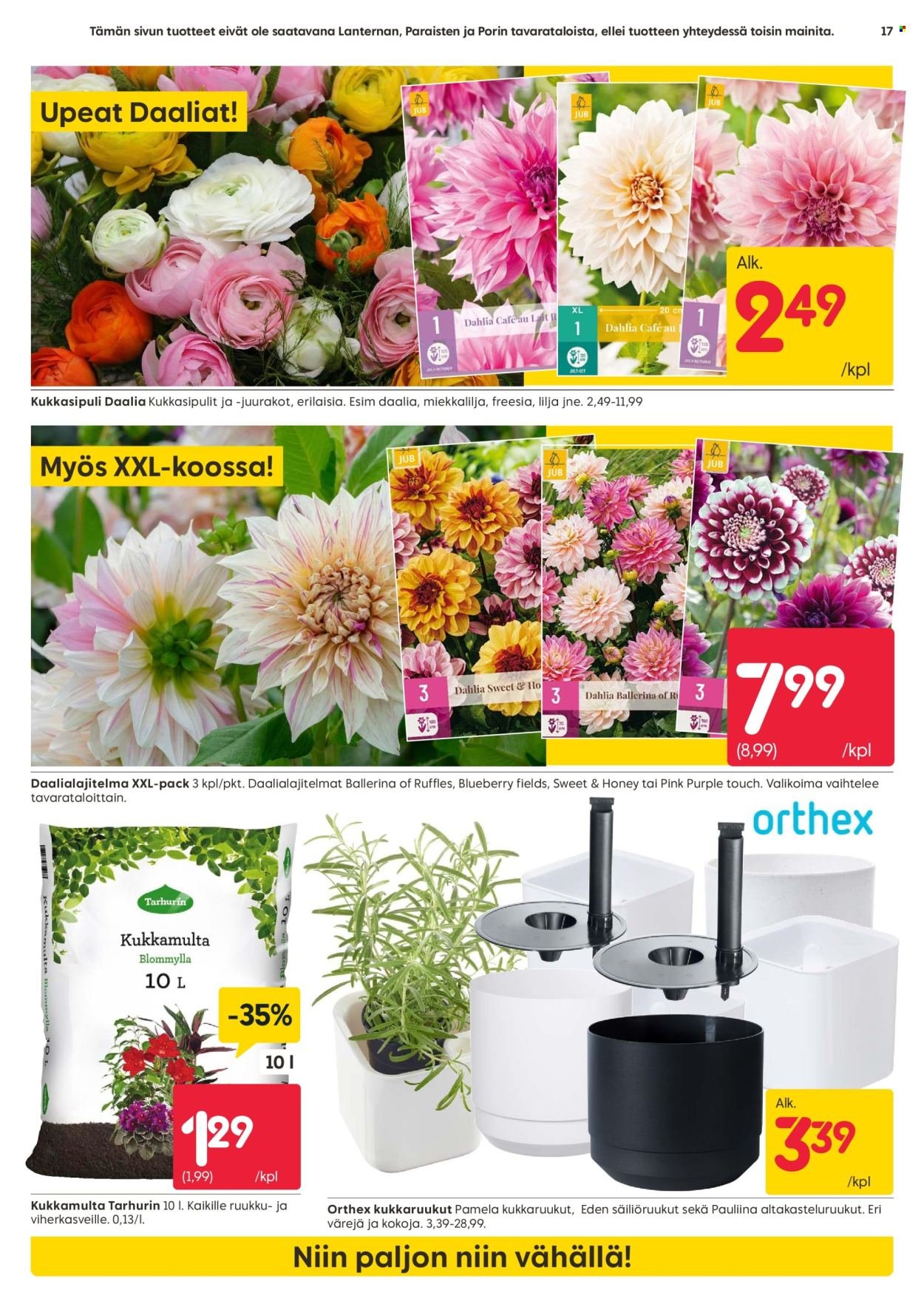 RUSTA tarjoukset - Alkaen MA 9.3.2026