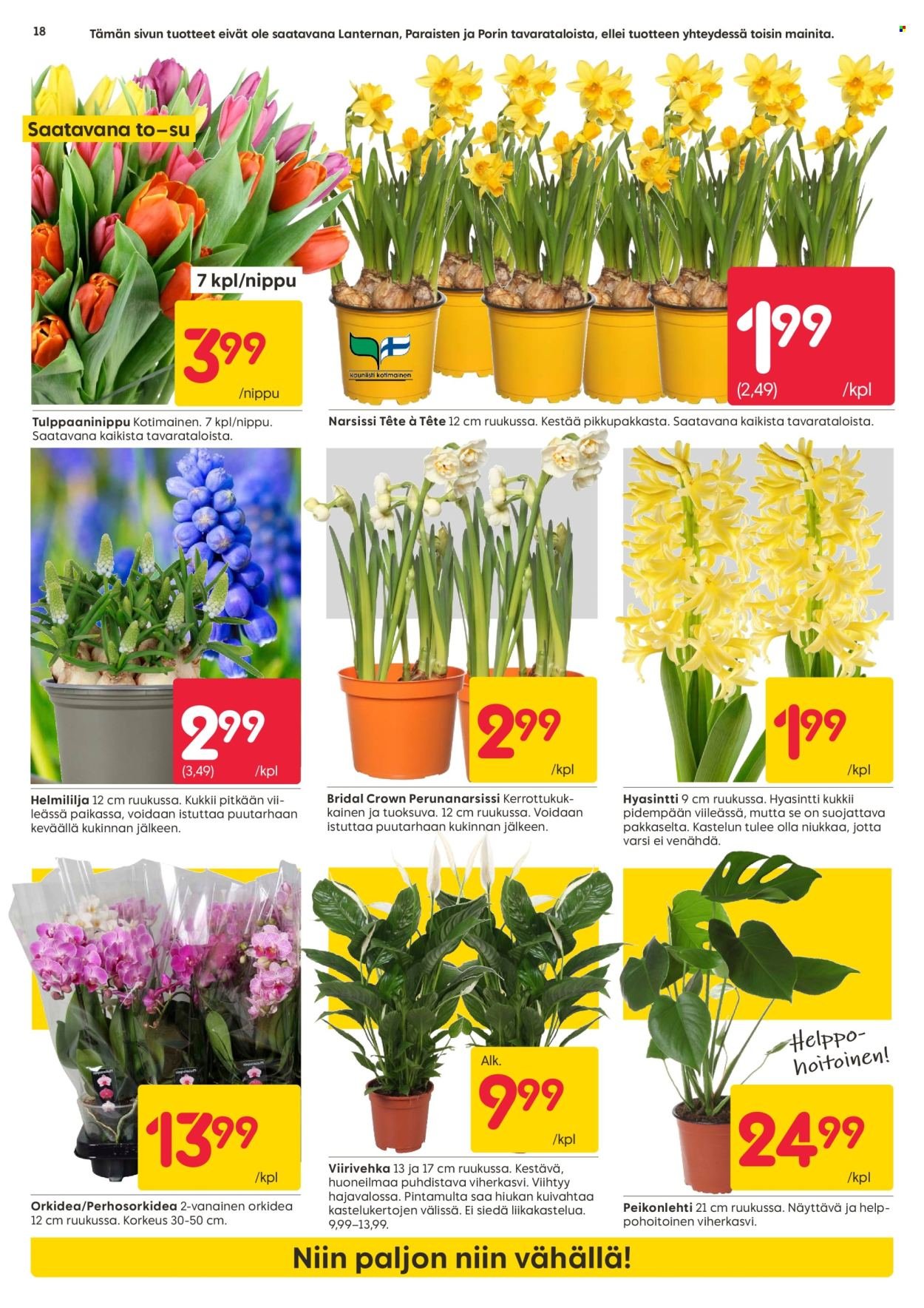 RUSTA tarjoukset - Alkaen MA 9.3.2026